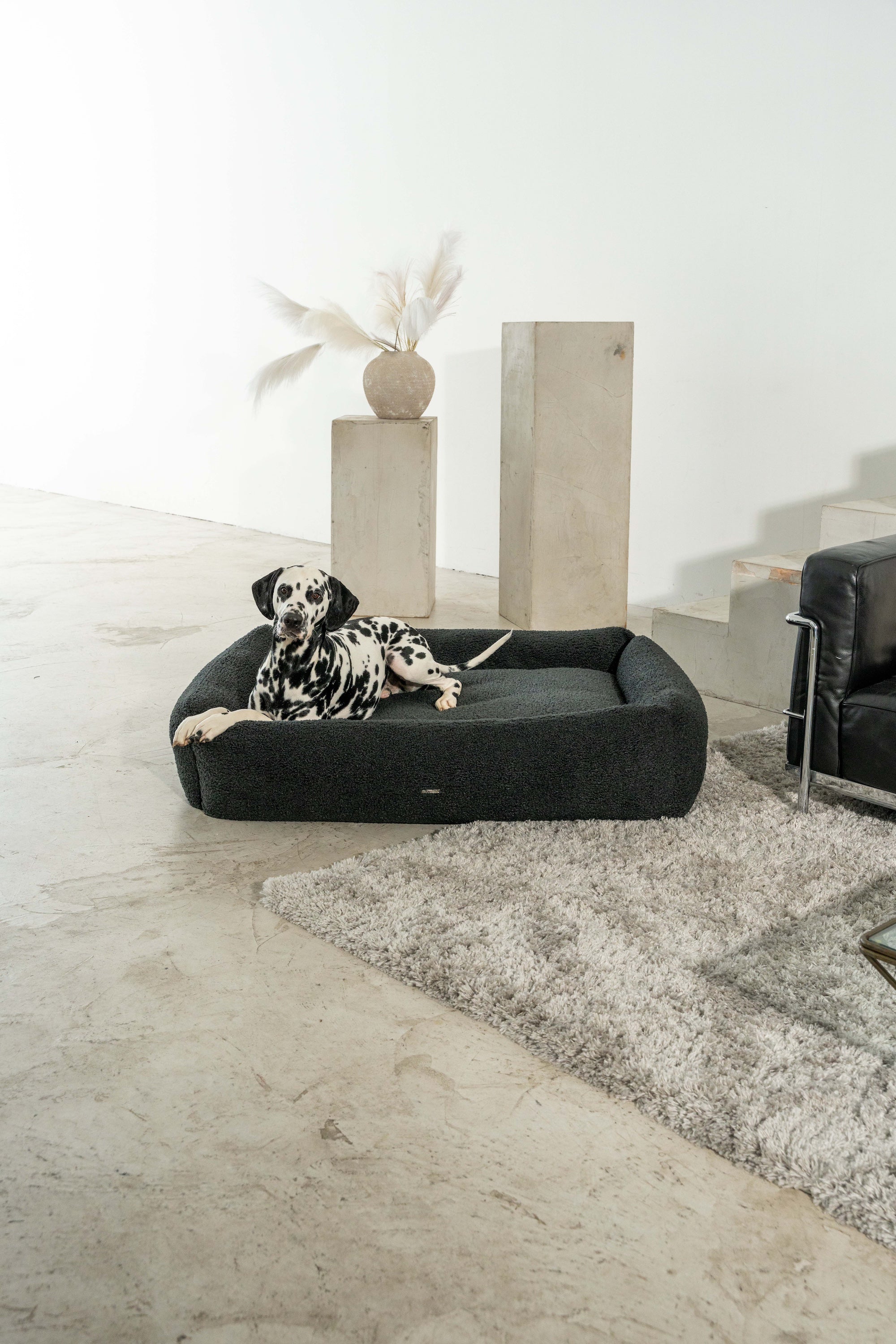 BUCIANO Hundebett Oreo Schwarz Hundebett für große Hunde