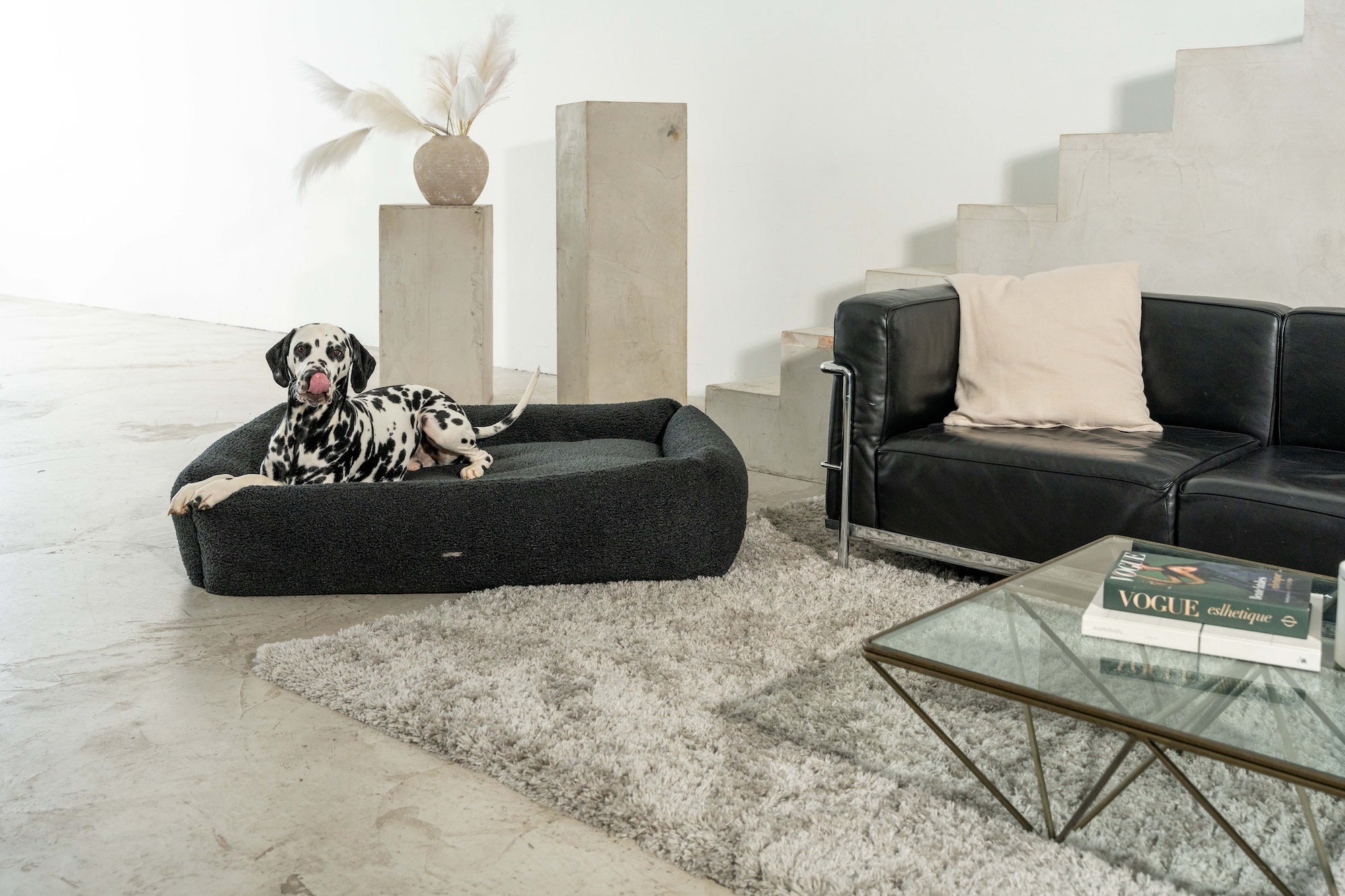 BUCIANO Hundebett Oreo Schwarz Hundebett für kleine Hunde