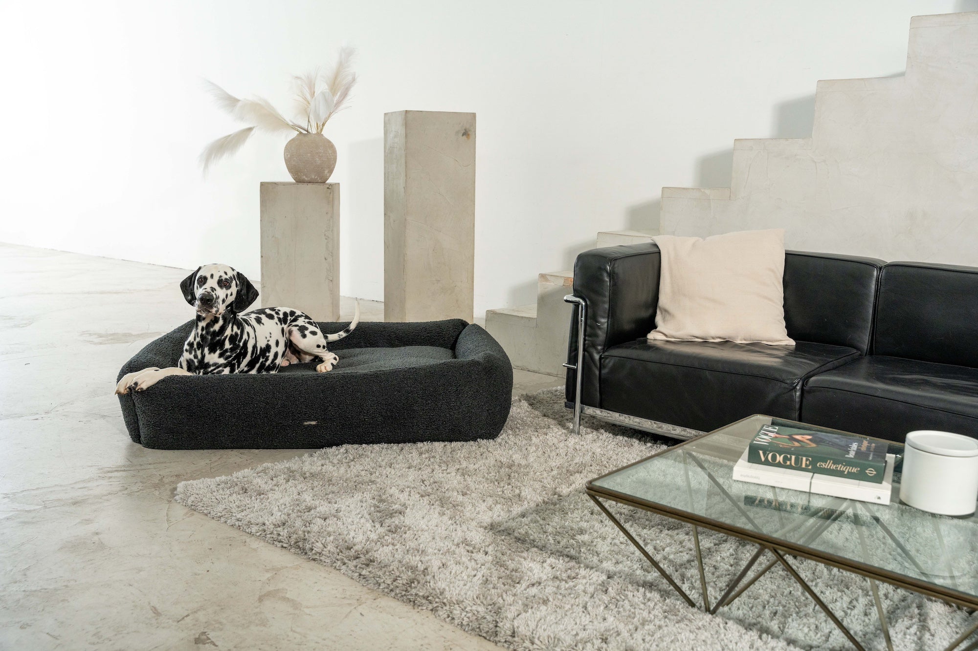 BUCIANO Hundebett Oreo Schwarz Hundekissen für große Hunde