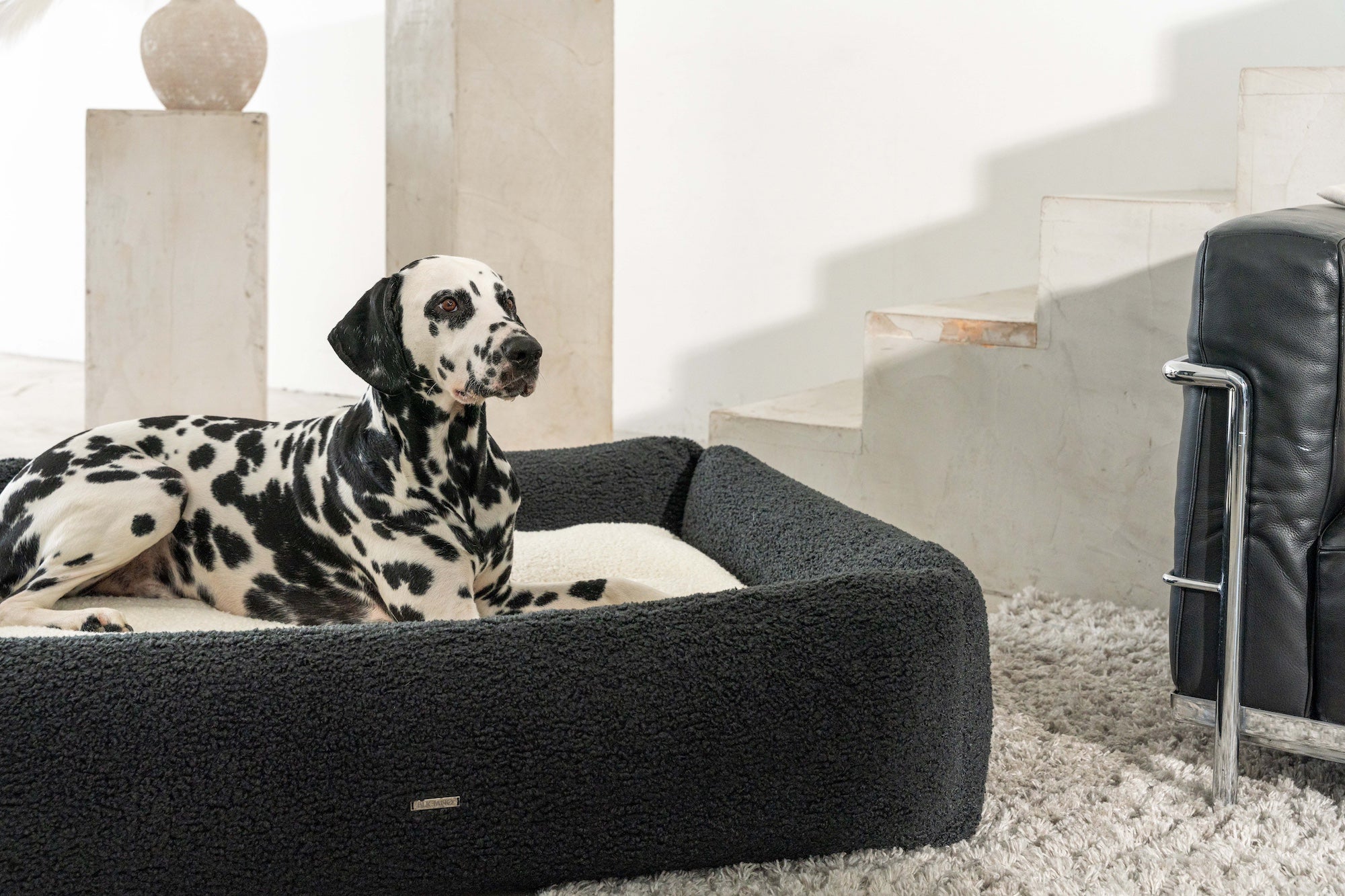 BUCIANO Hundebett Oreo Schwarz Hundekissen für kleine Hunde