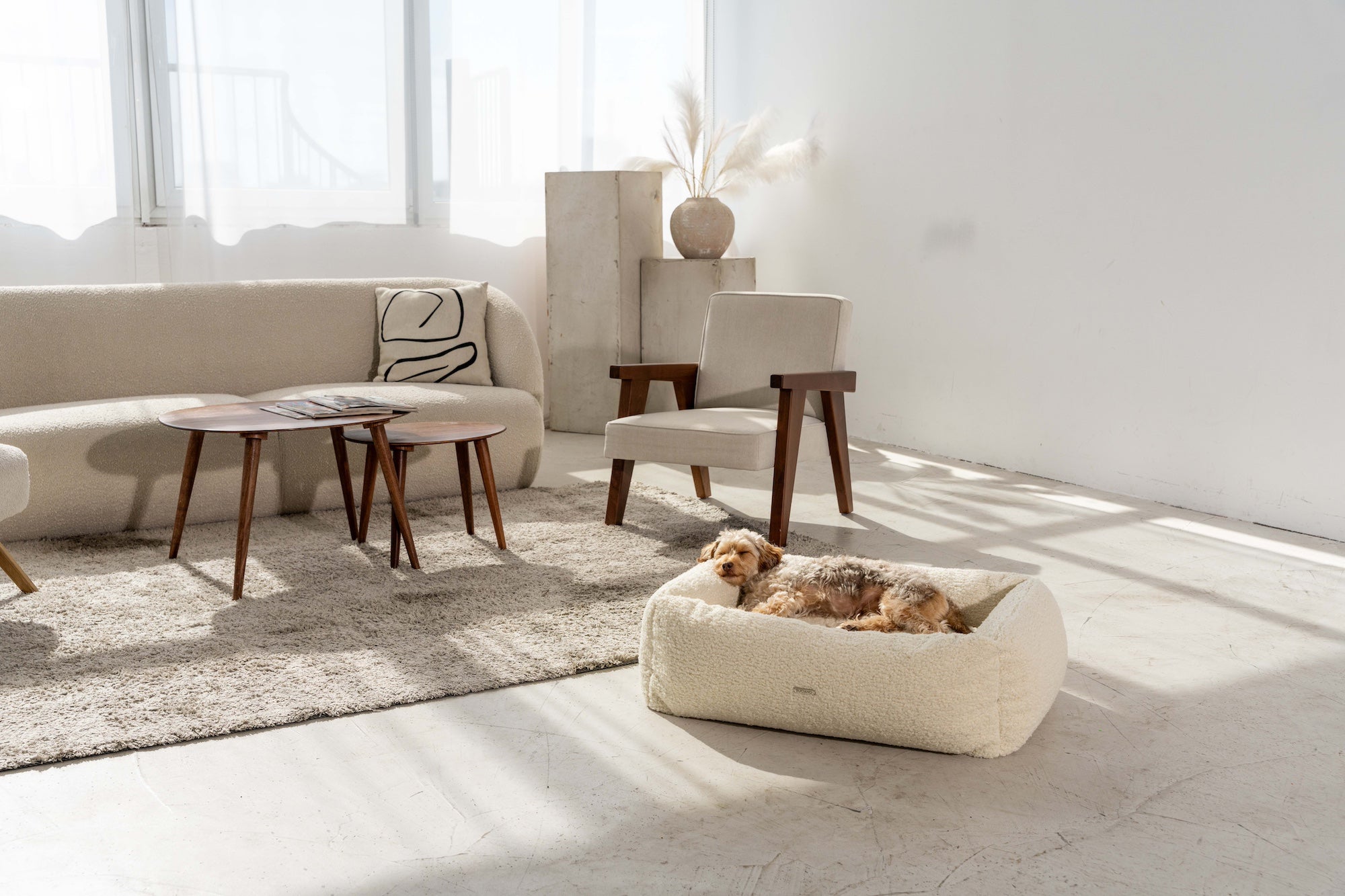 BUCIANO Hundebett Oreo Wollweiß Hunde Box-Bett für große Hunde