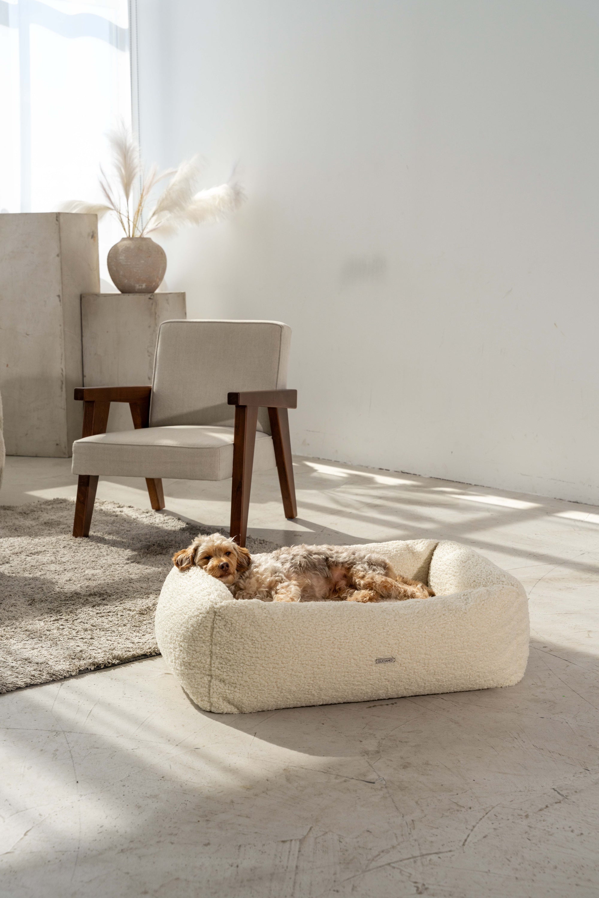 BUCIANO Hundebett Oreo Wollweiß Hunde Box-Bett für kleine Hunde
