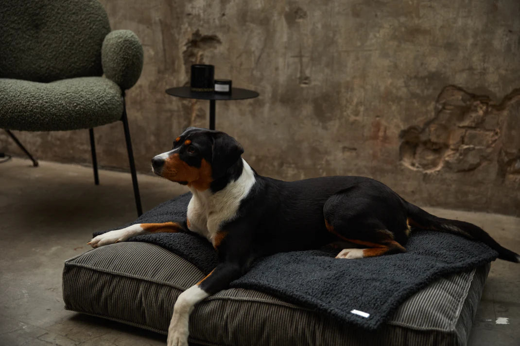 BUCIANO Hundedecke Rubi Schwarz Boucle Hundedecke