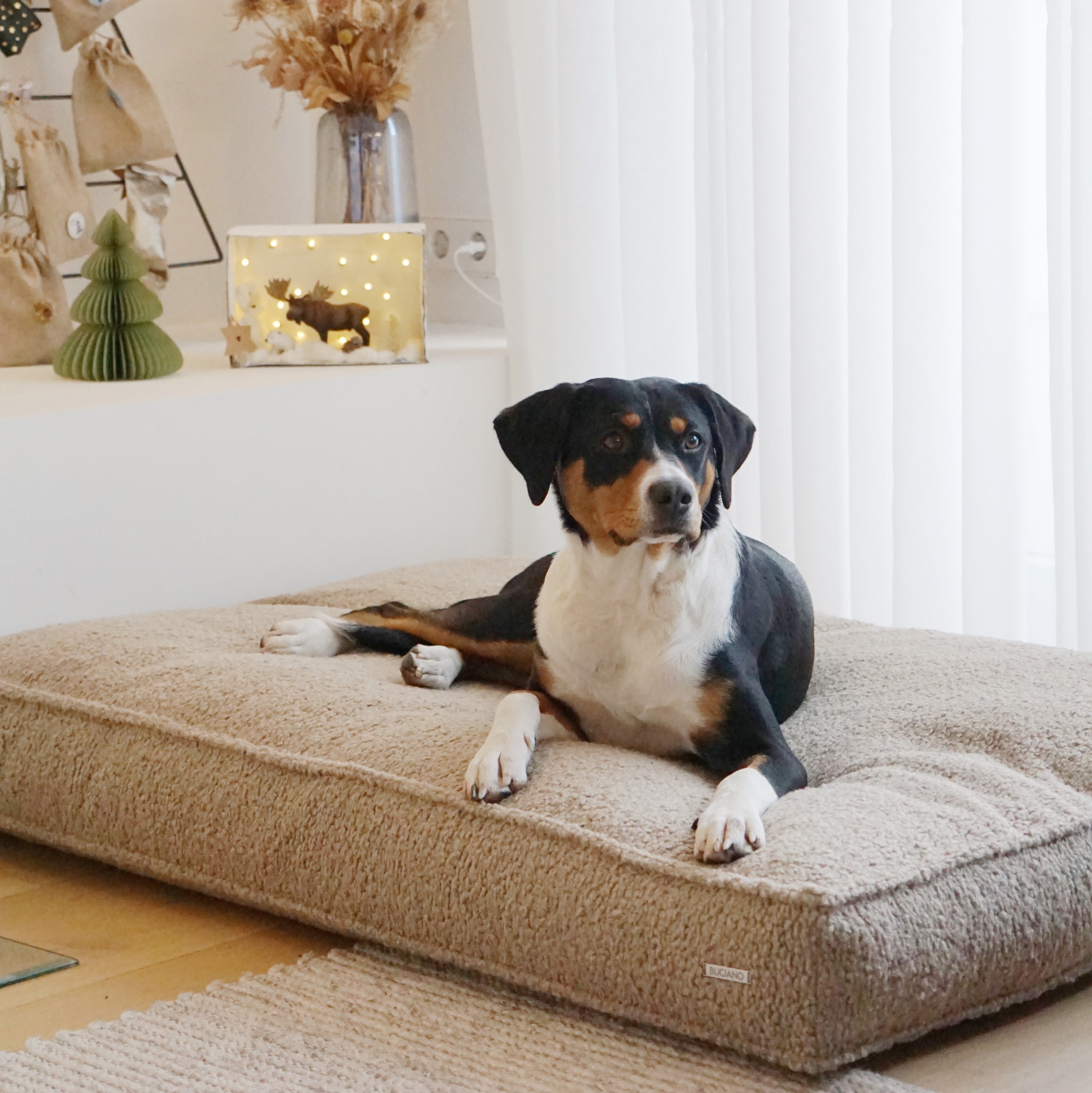 Buciano Hundekissen Nova Greige Hundebett