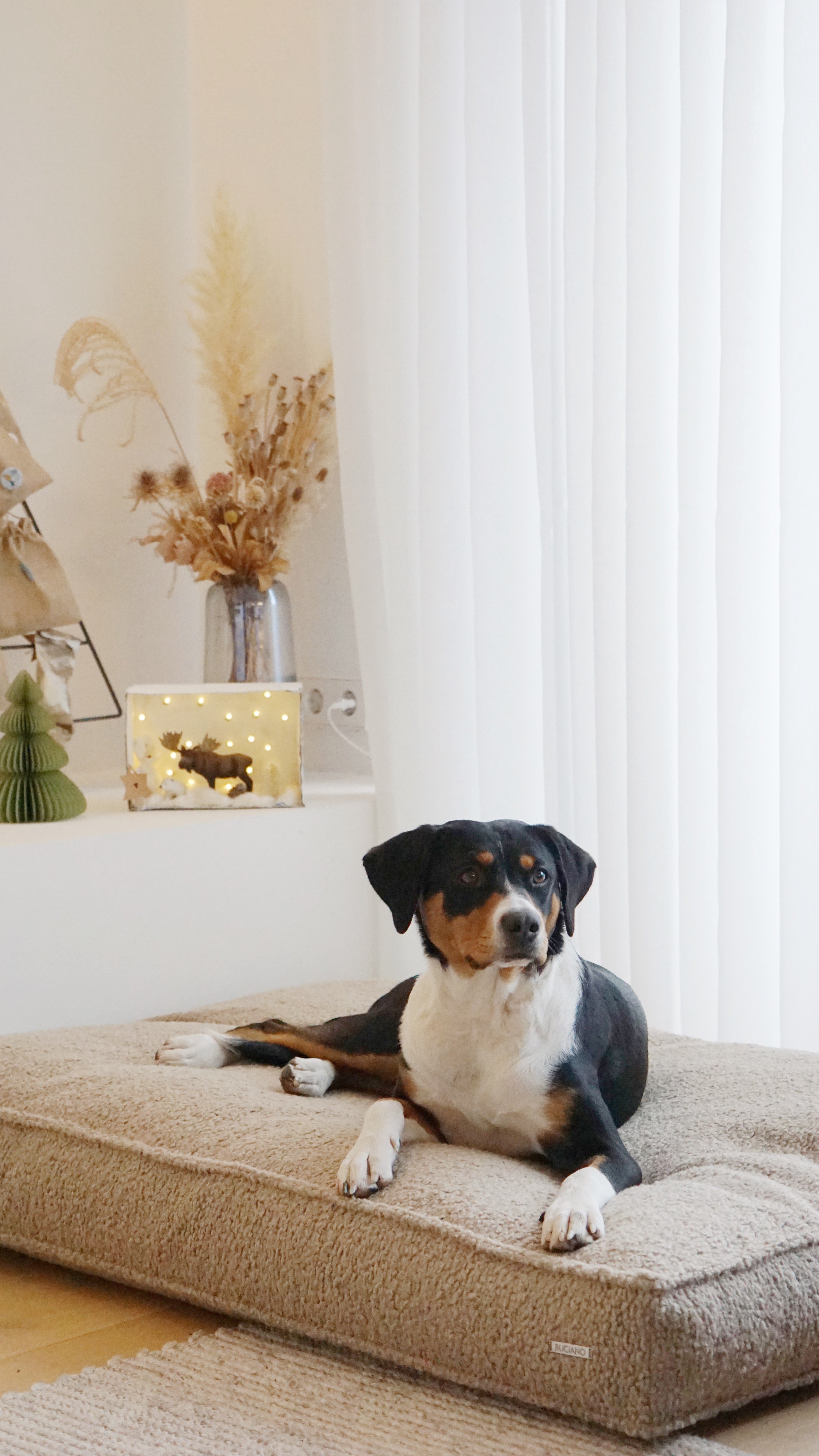 Buciano Hundekissen Nova Greige kuscheliges Hundekissen