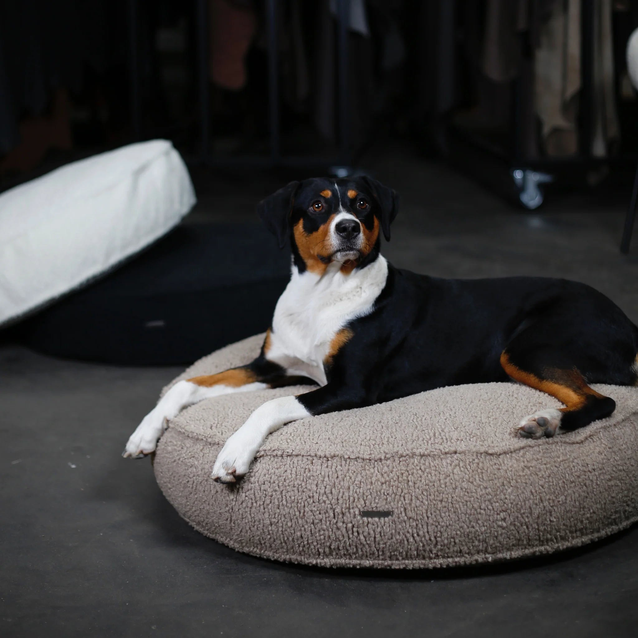 Buciano Hundekissen Onda Greige rundes Hundebett