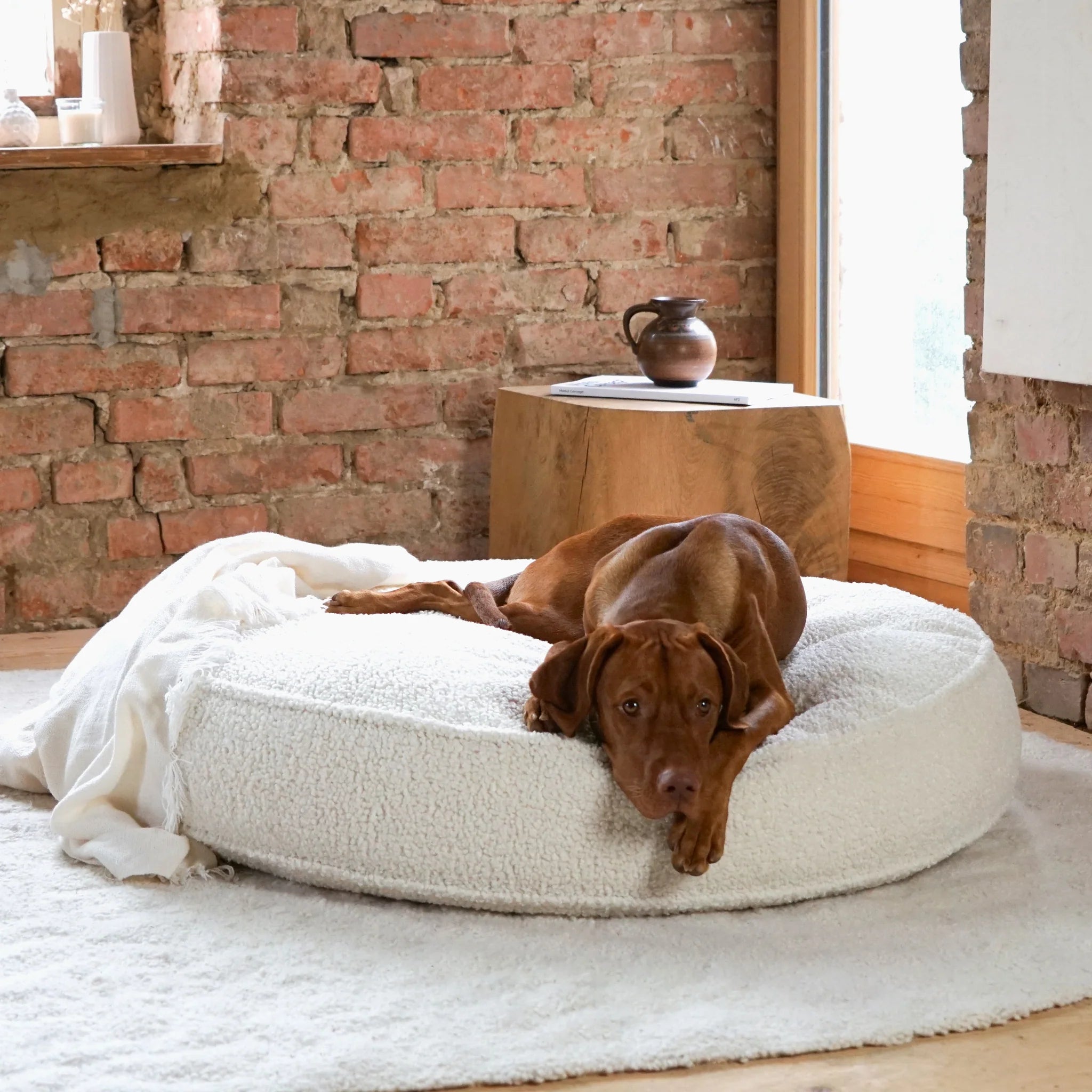 Buciano Hundekissen Onda Wollweiss Flauschiges Hundebett aus Bouclé