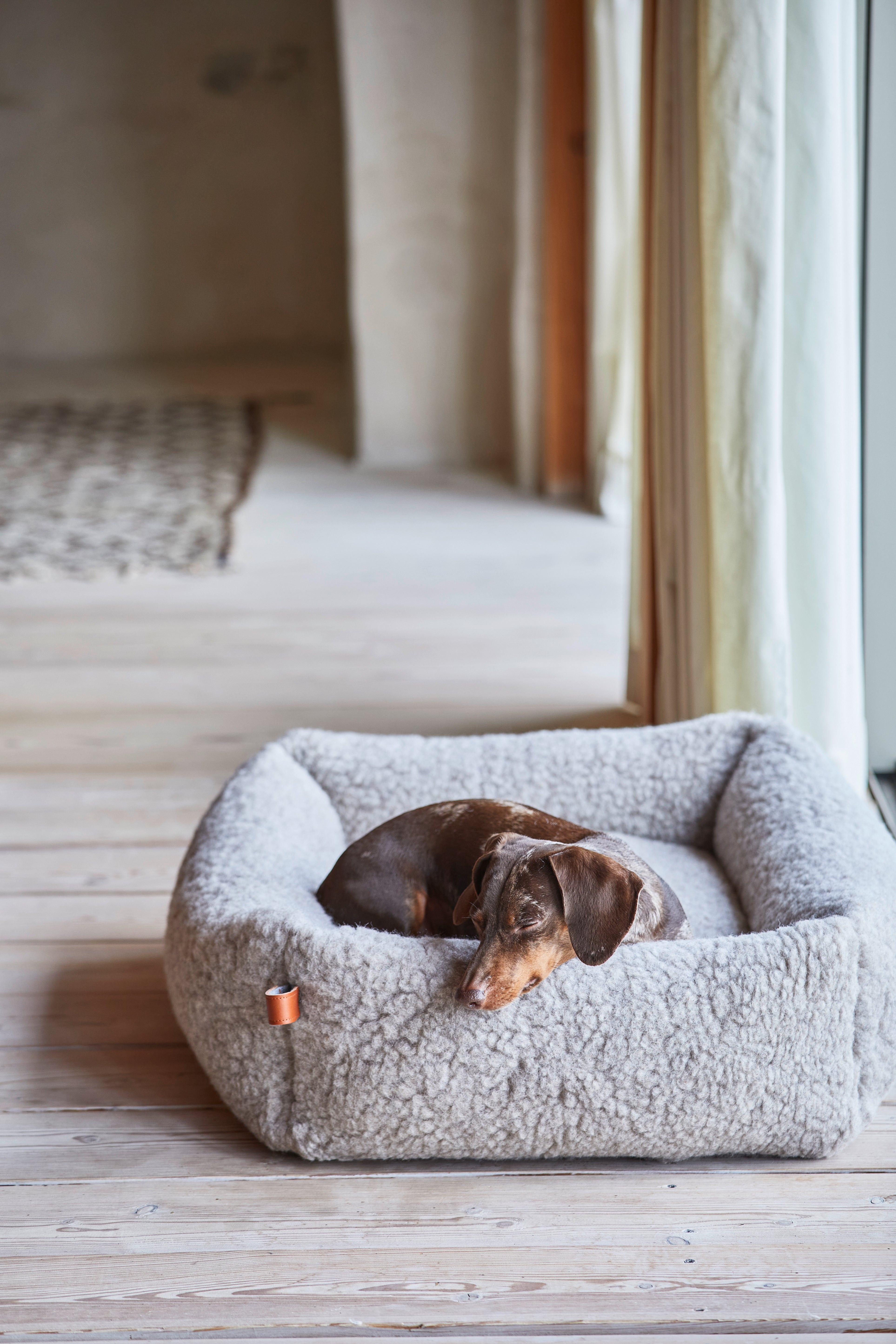 Cloud7 Hundebett Sleepy Deluxe Teddy Hundebett Teddy