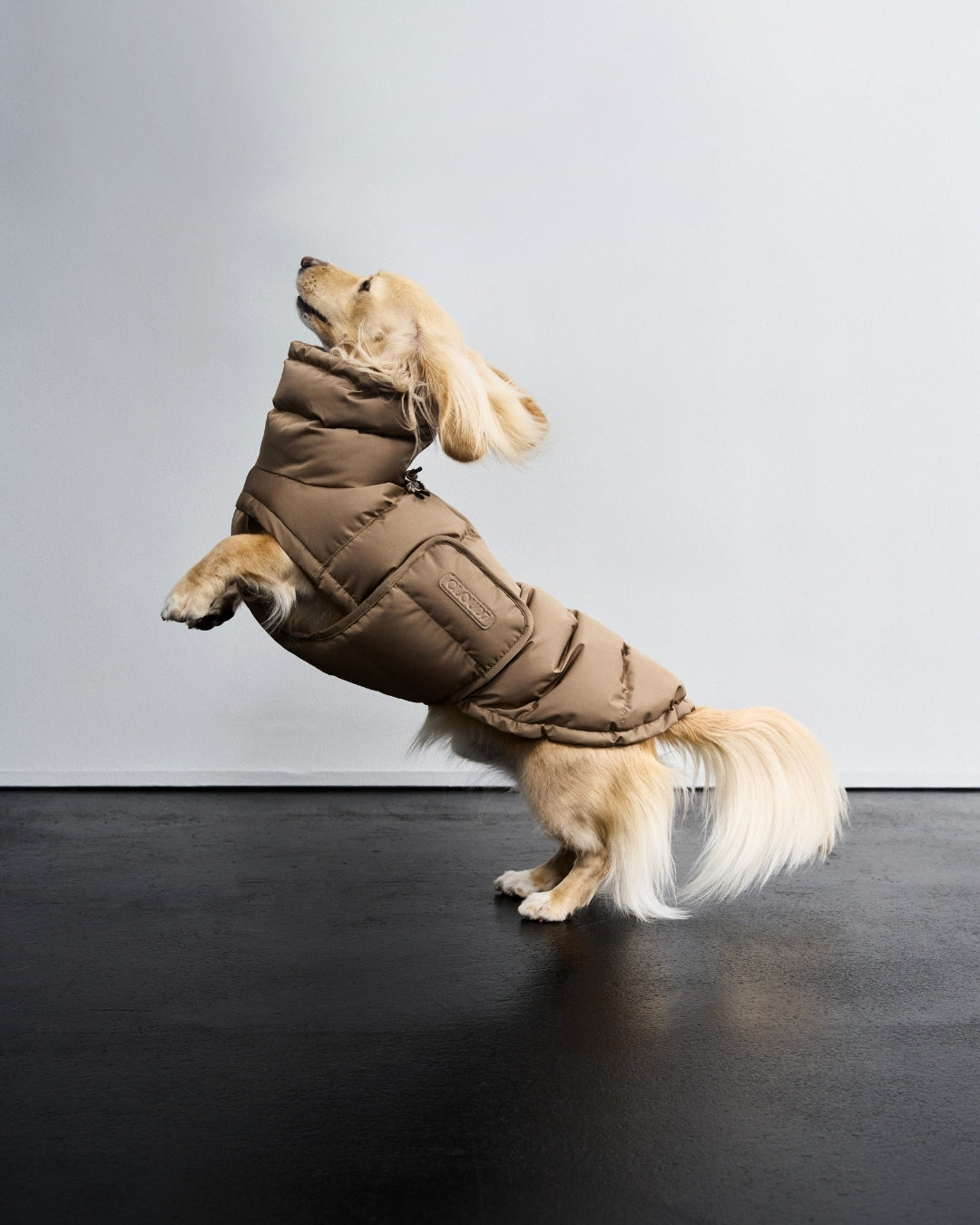 Cloud7 Hundemantel Dackel Alaska Sandy Brown Hundewintermantel Hundemantel wasserdicht