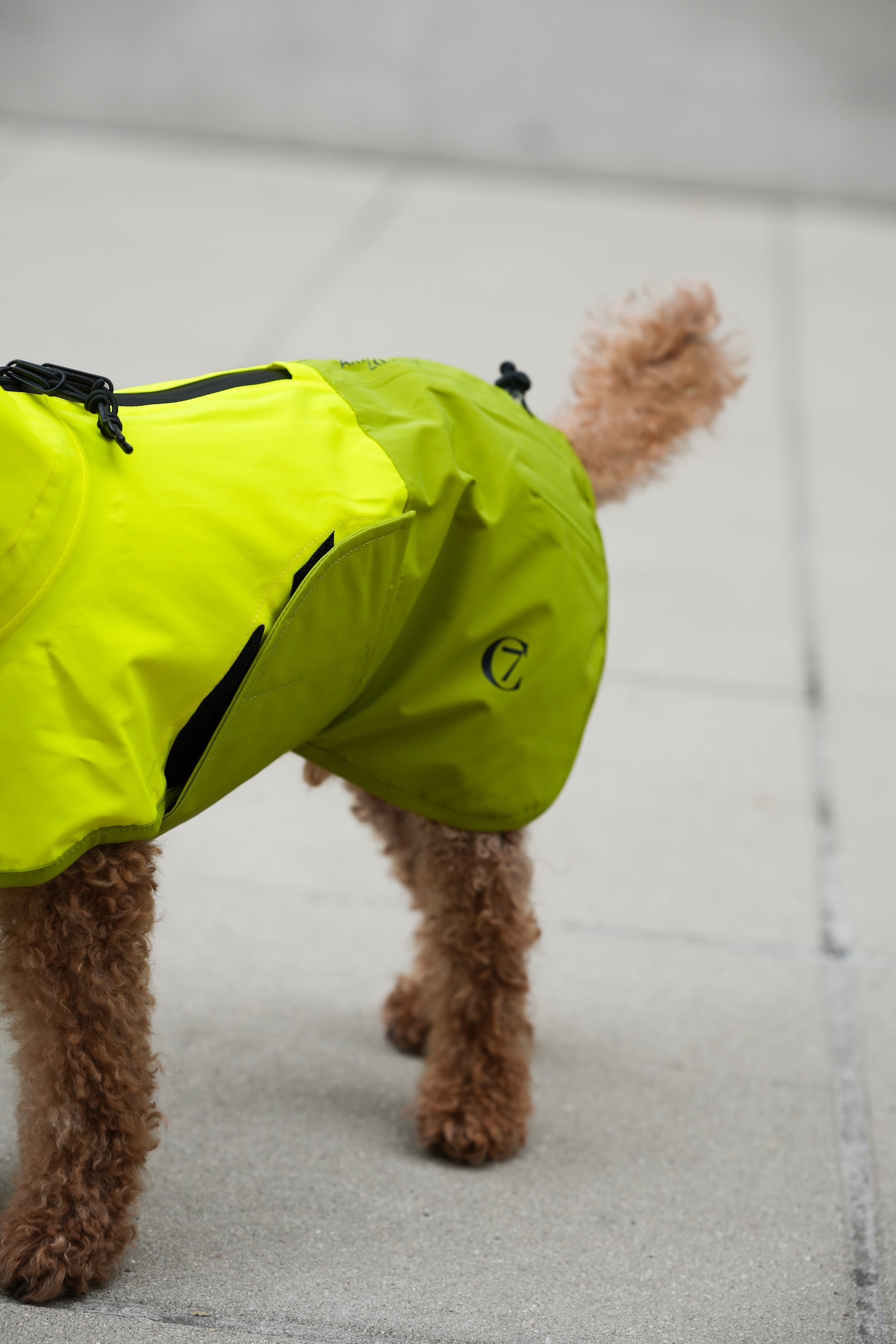 Cloud7 Hunderegenmantel Aktiv Neon Green Light Olive Hunderegenmantel Regenmantel Hund reflektierend