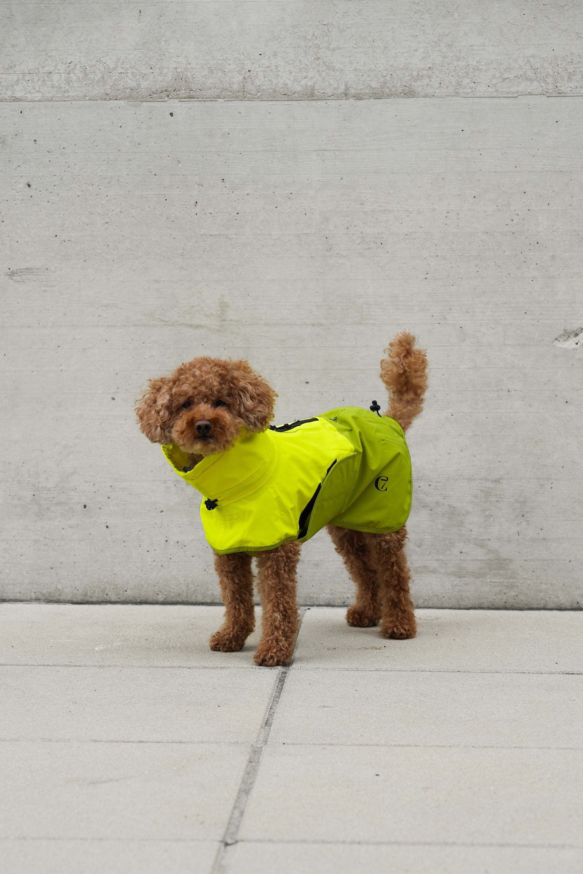 Cloud7 Hunderegenmantel Aktiv Neon Green Light Olive Hunderegenmantel reflektierend