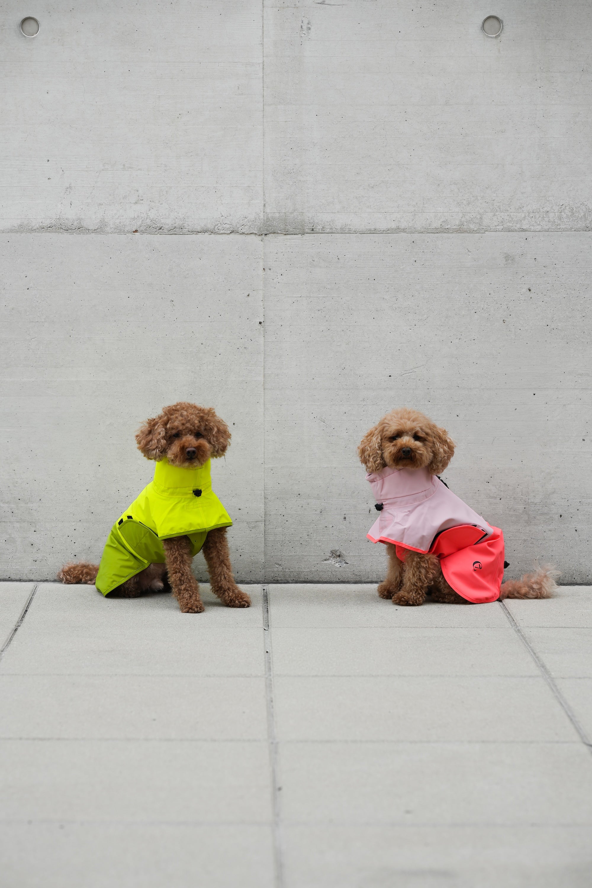 Cloud7 Hunderegenmantel Aktiv Peach Neon Pink Hunderegenmantel reflektierend bunt