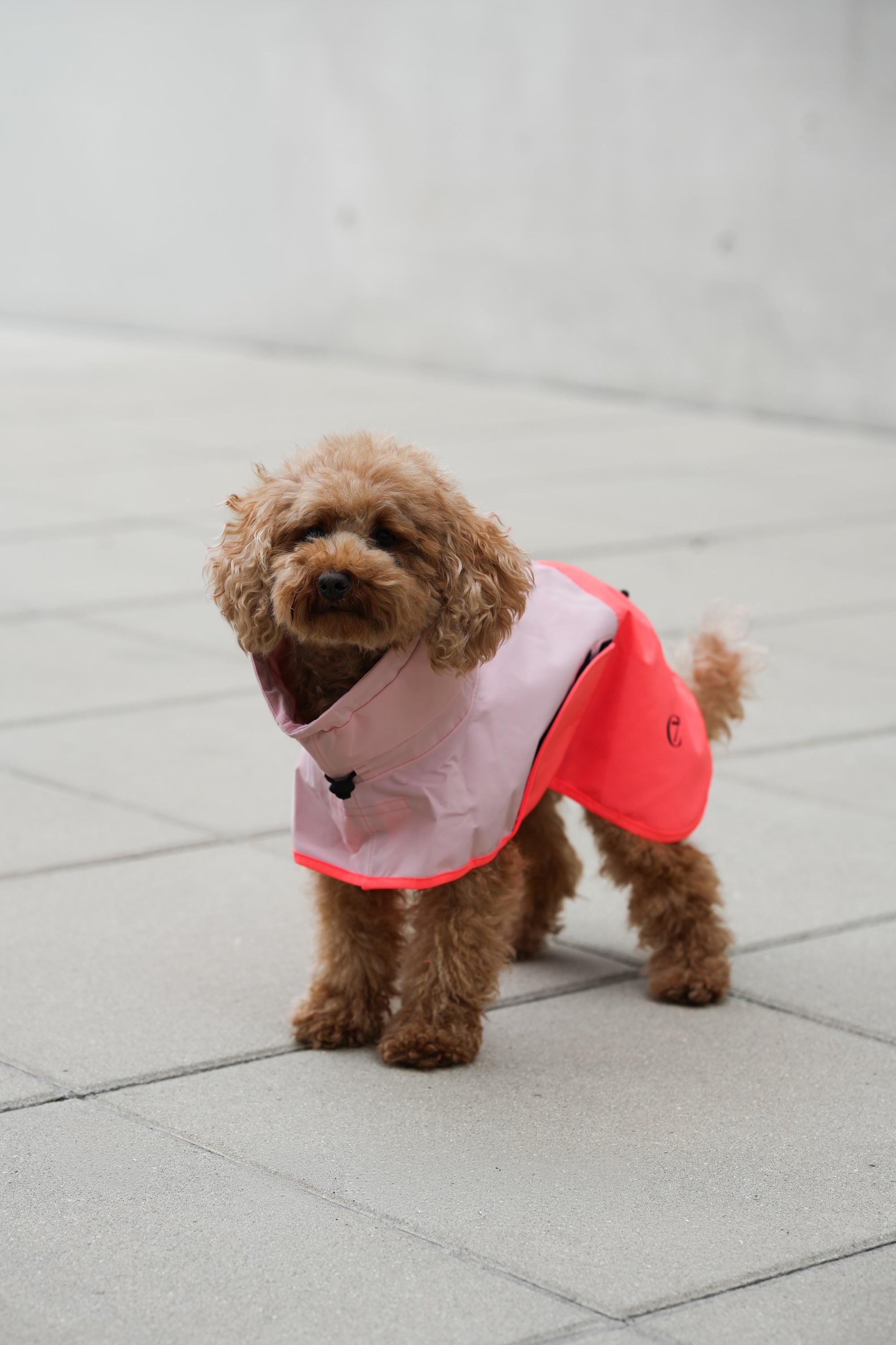 Cloud7 Hunderegenmantel Aktiv Peach Neon Pink Hunderegenmantel reflektierend