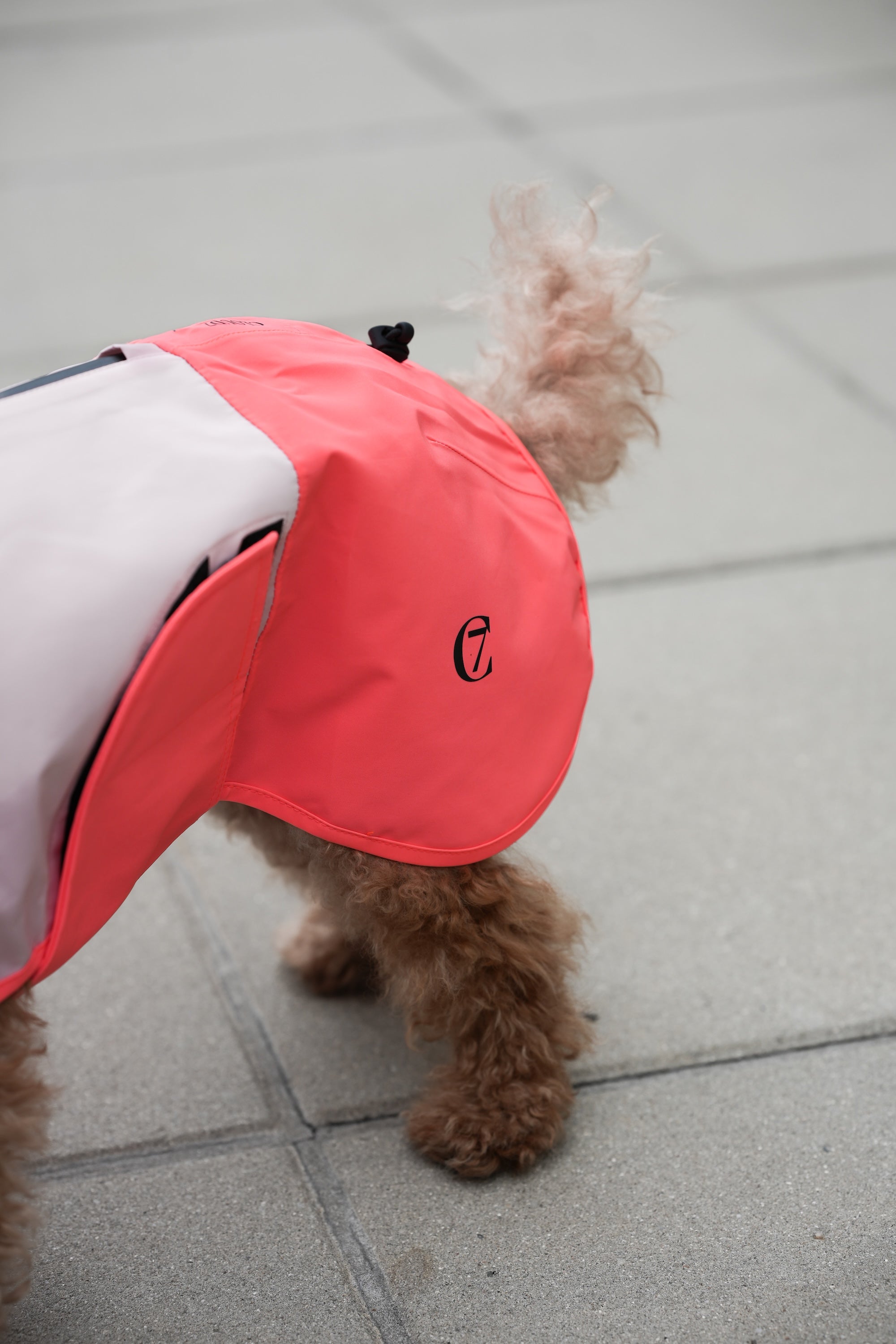 Cloud7 Hunderegenmantel Aktiv Peach Neon Pink Hunderegenmantel reflektierender Stoff