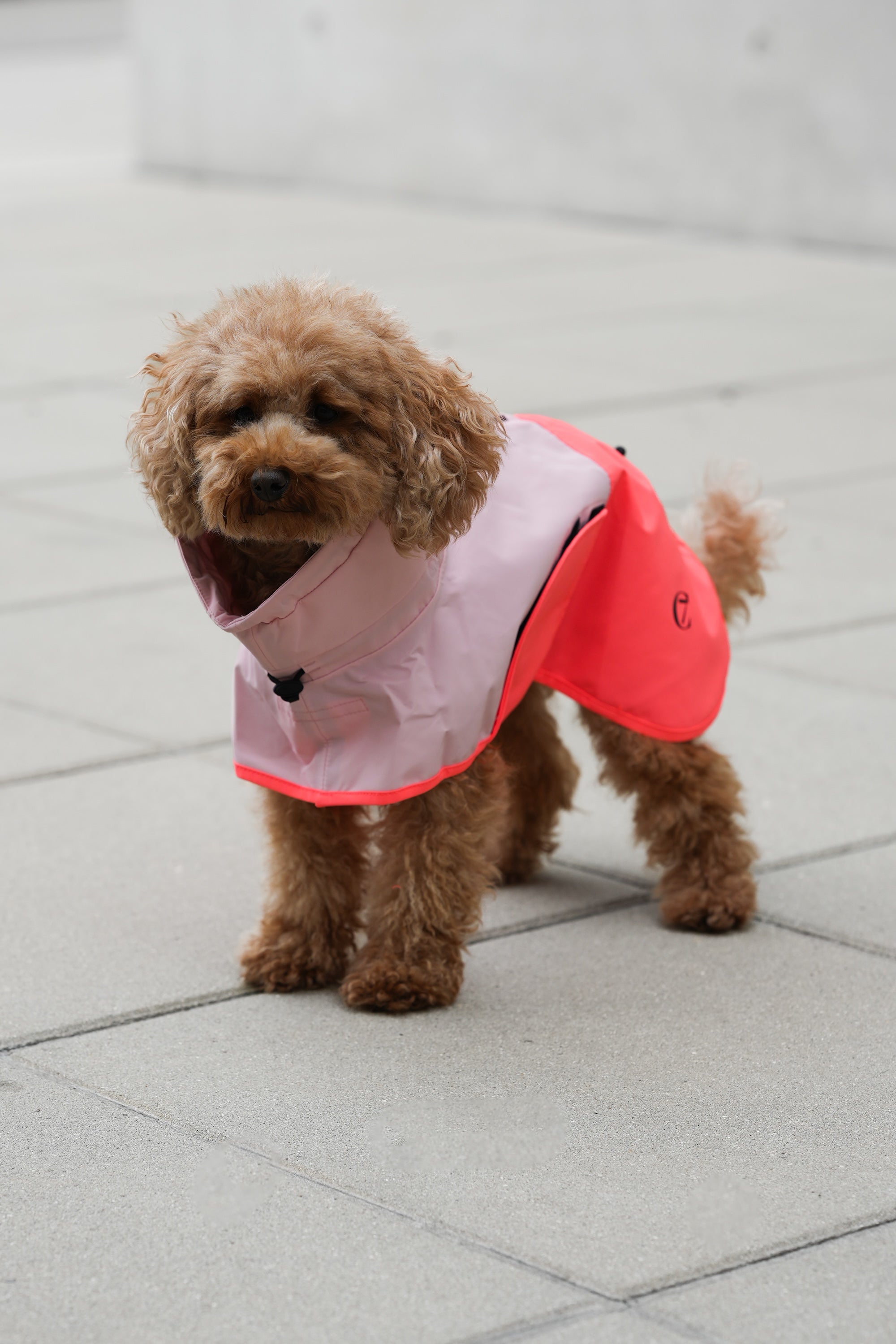Cloud7 Hunderegenmantel Aktiv Peach Neon Pink Hunderegenmantel Regenmantel Hund reflektierend