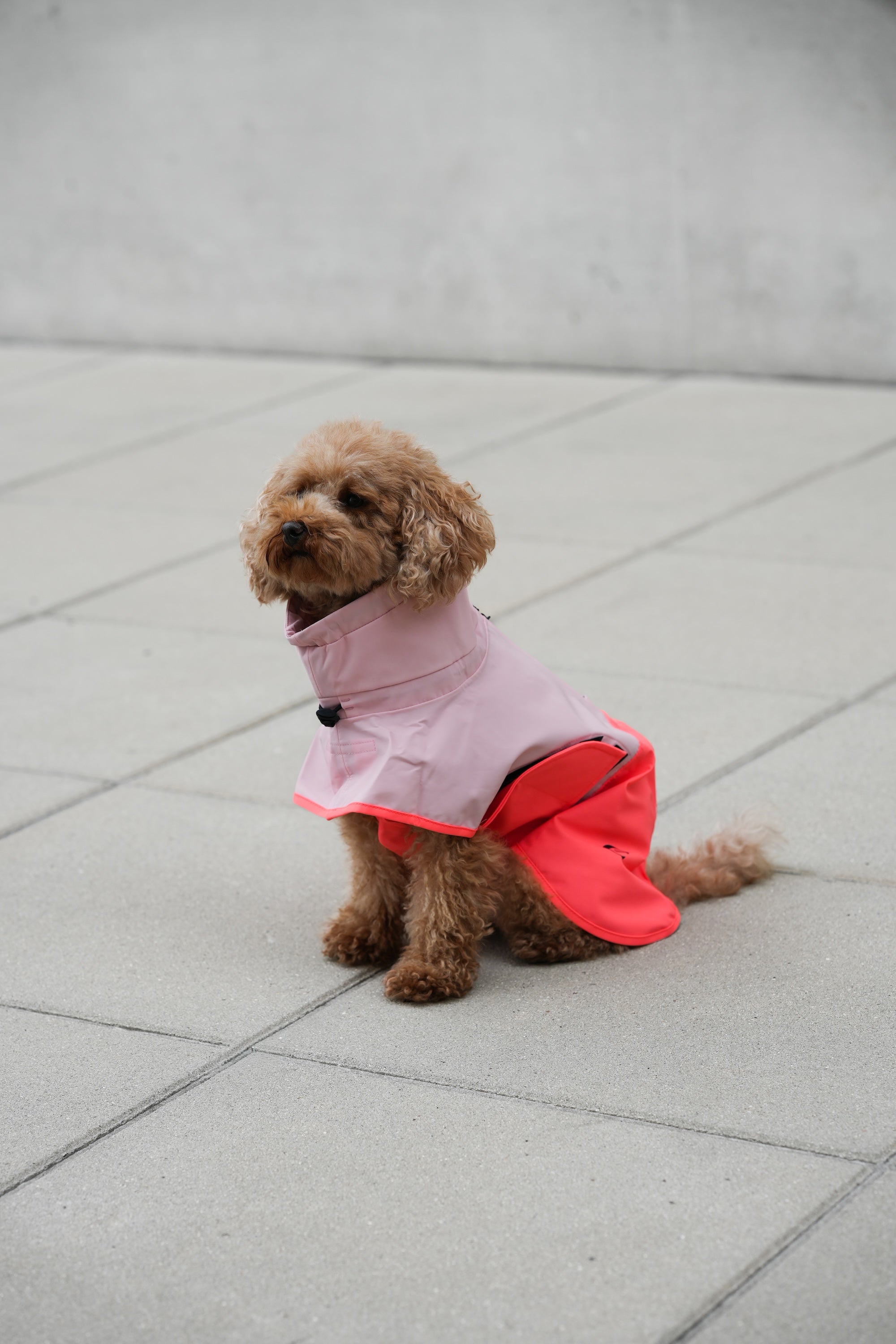 Cloud7 Hunderegenmantel Aktiv Peach Neon Pink Hunderegenmantel Regenmantel Hund wasserdicht