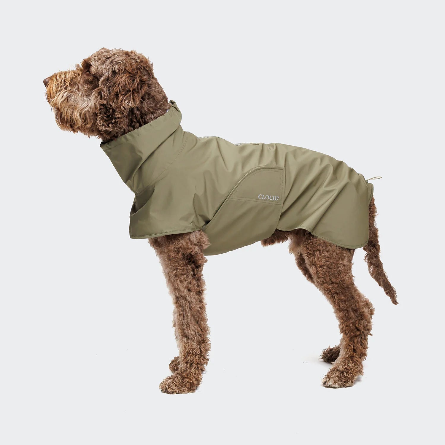 Cloud7 Hunderegenmantel Helgoland Olive Hundemantel wasserdicht wasserabweisend mit Bauchschutz