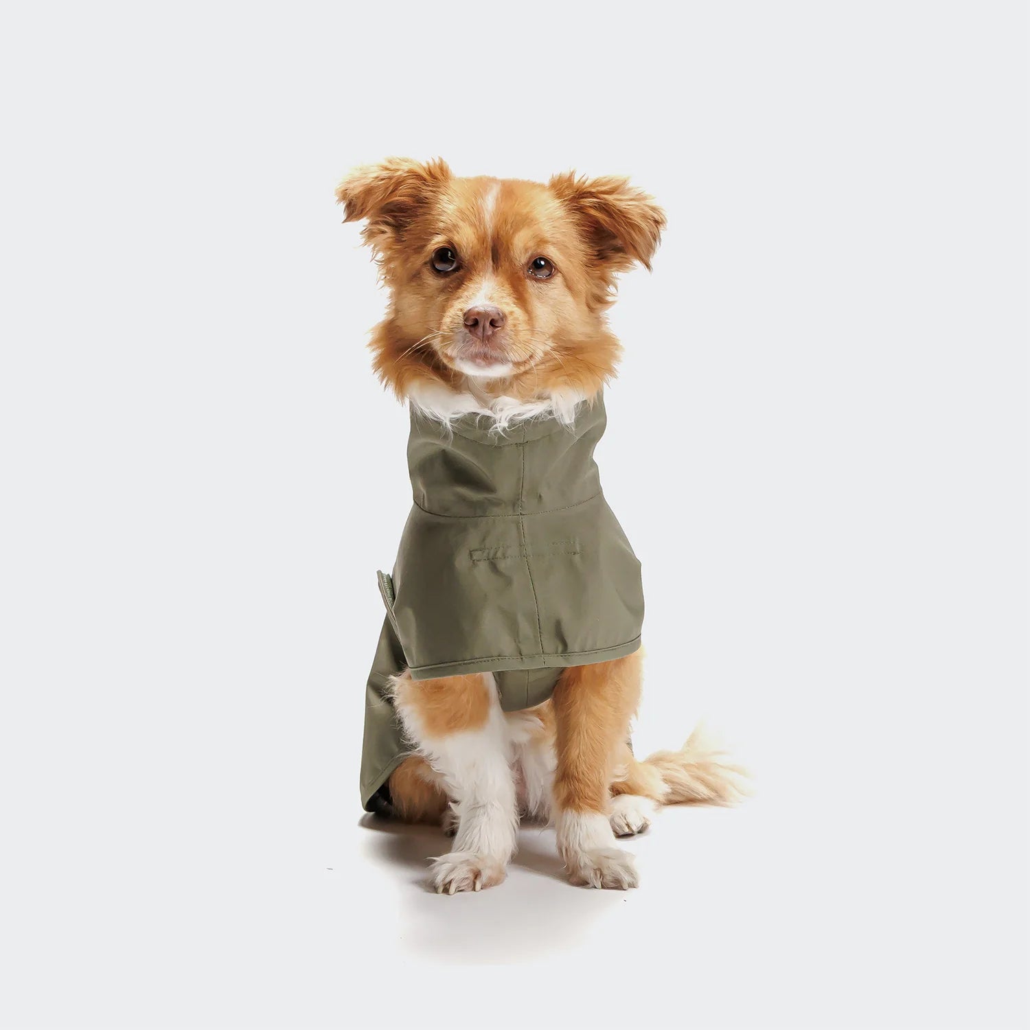 Cloud7 Hunderegenmantel Helgoland Olive Regenmantel für Hunde wasserdicht
