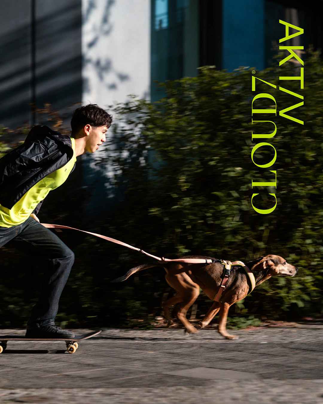 Cloud7 Aktiv Kollektion Hundeleinen Hundegeschirre