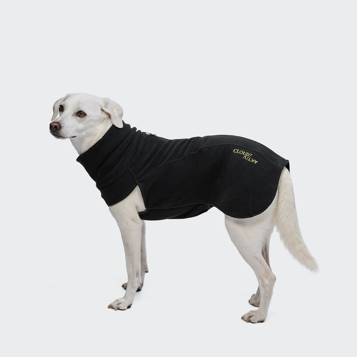 Cloud7 Body Warmer AKTIV Black Hundewintermantel
