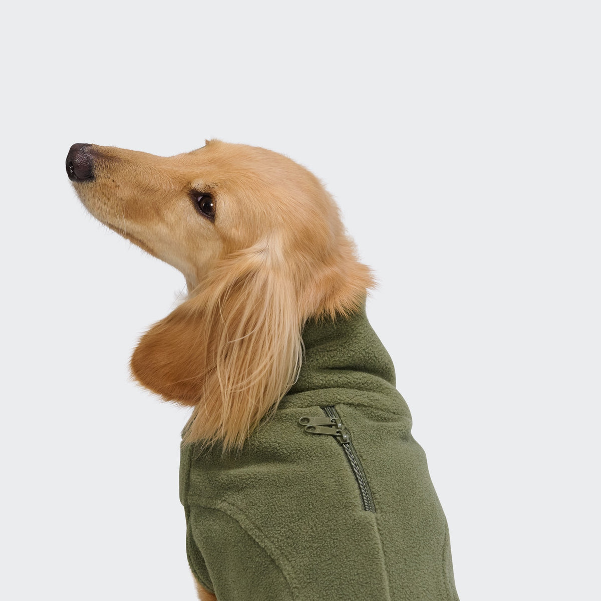 Cloud7 Body Warmer DACKEL AKTIV Khaki Hundepullover