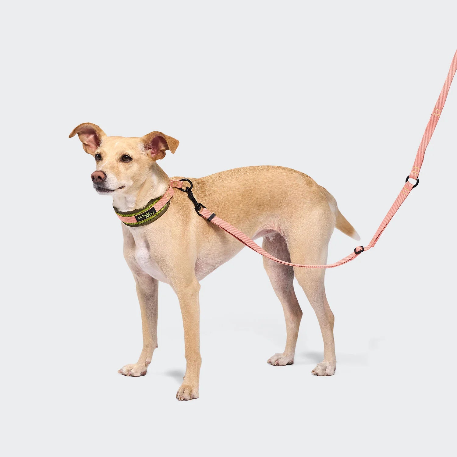 Cloud7 C-1 Zugstopp Halsband Air-Mesh AKTIV Neon Green/Peach Hundehalsband