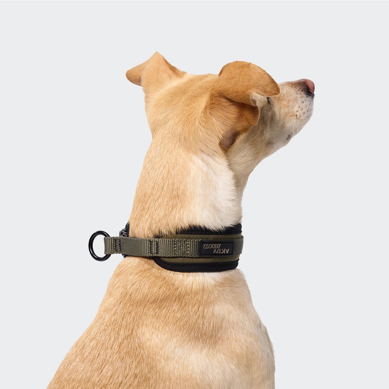 Cloud7 C-1 Zugstopp Halsband AKTIV Softshell Olive