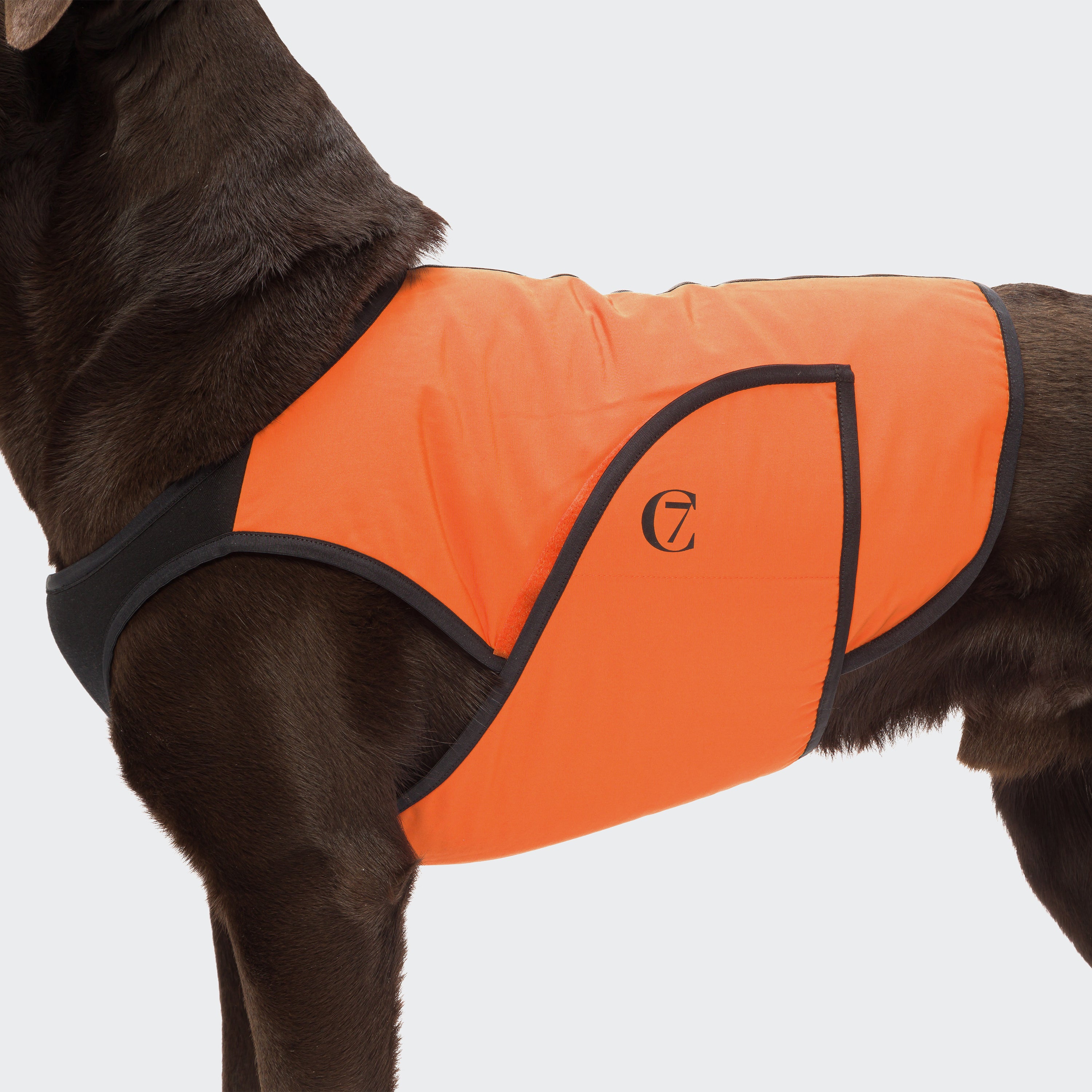 Cloud7 Hunde Kuehlweste Iceland Neonorange Kuehlweste fuer kleine und grosse Hunde