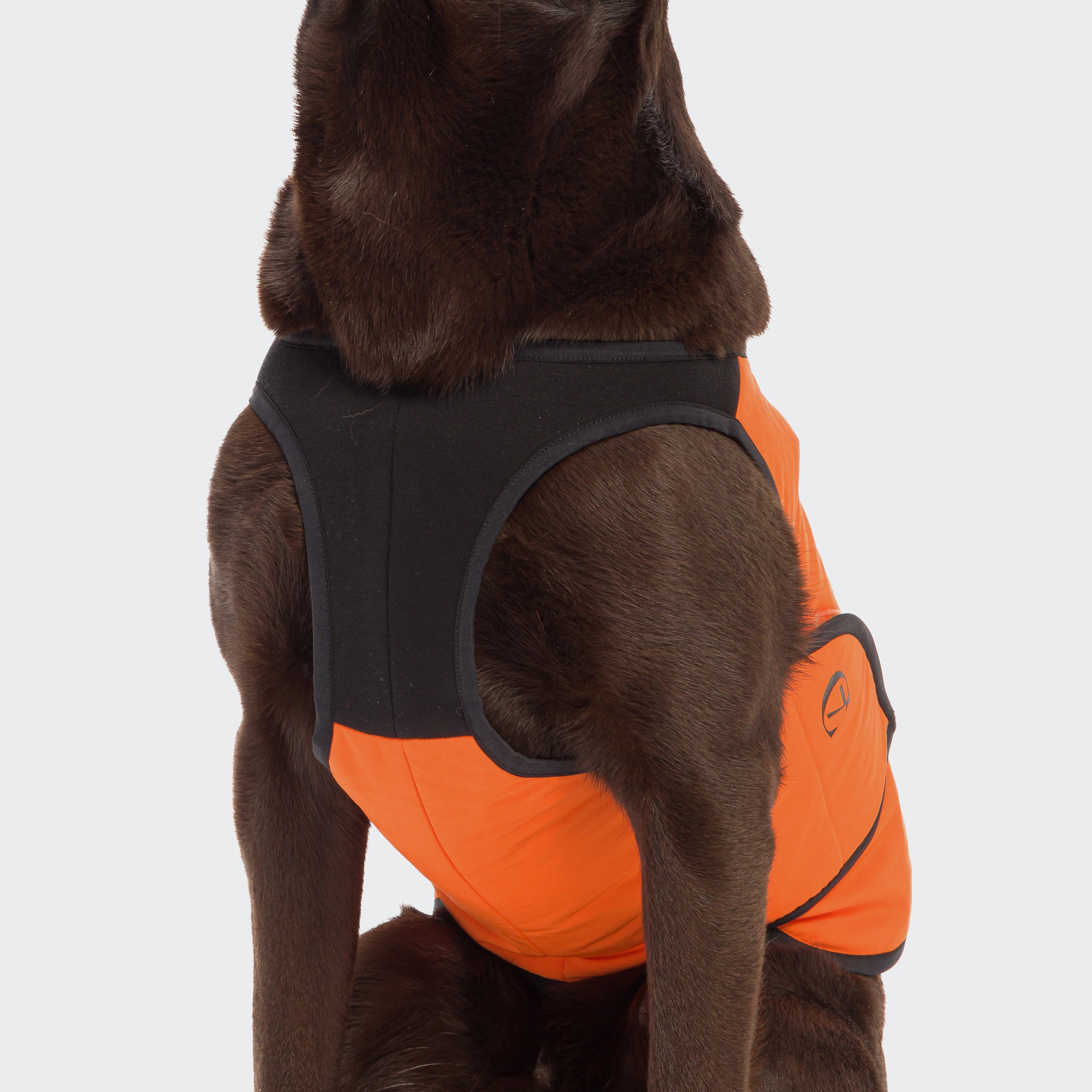 Cloud7 Hunde Kuehlweste Iceland Neonorange Kuehlweste mit Neon