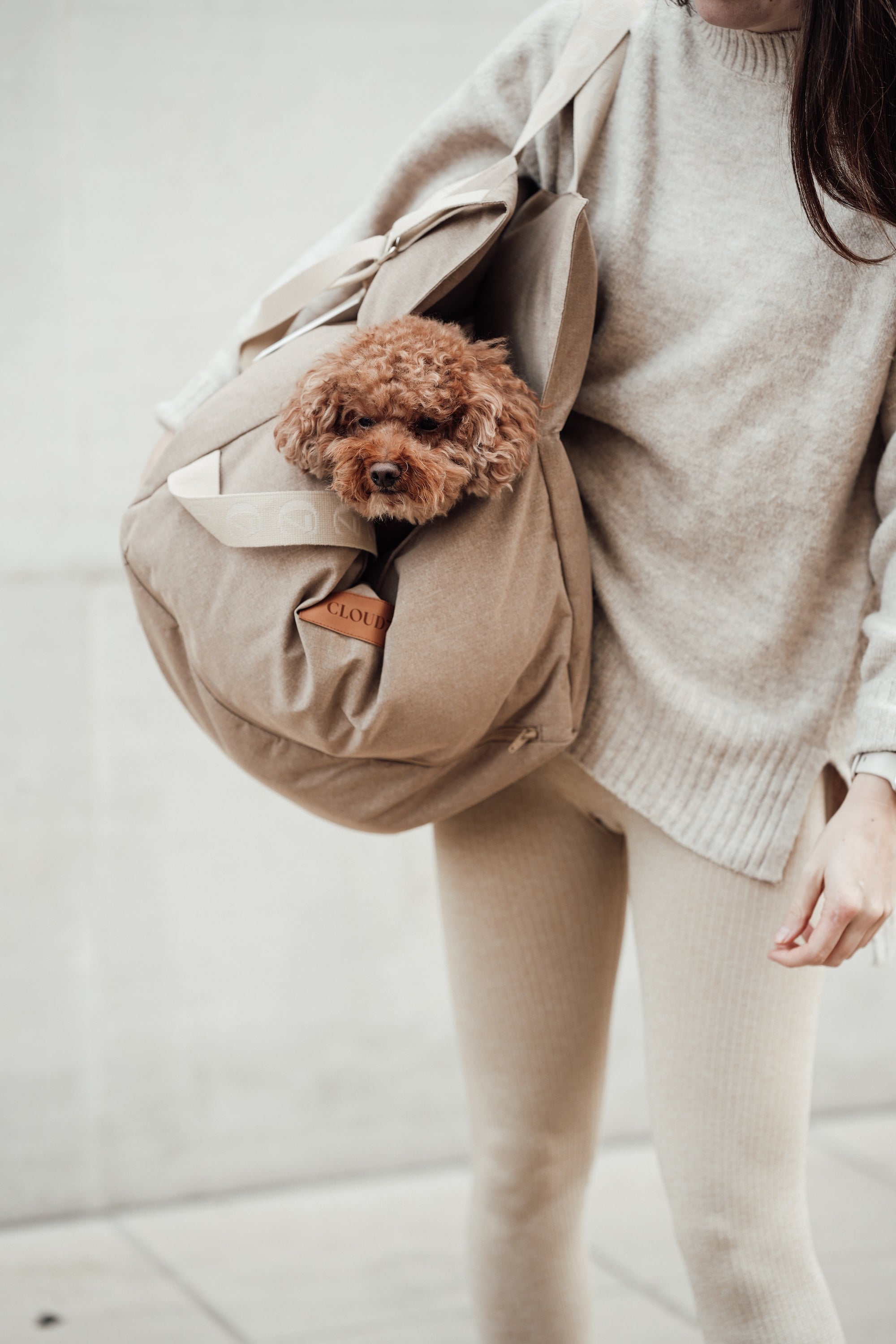 Cloud7 Hundeautositz Getaway Sand Autositz Hund waschbar