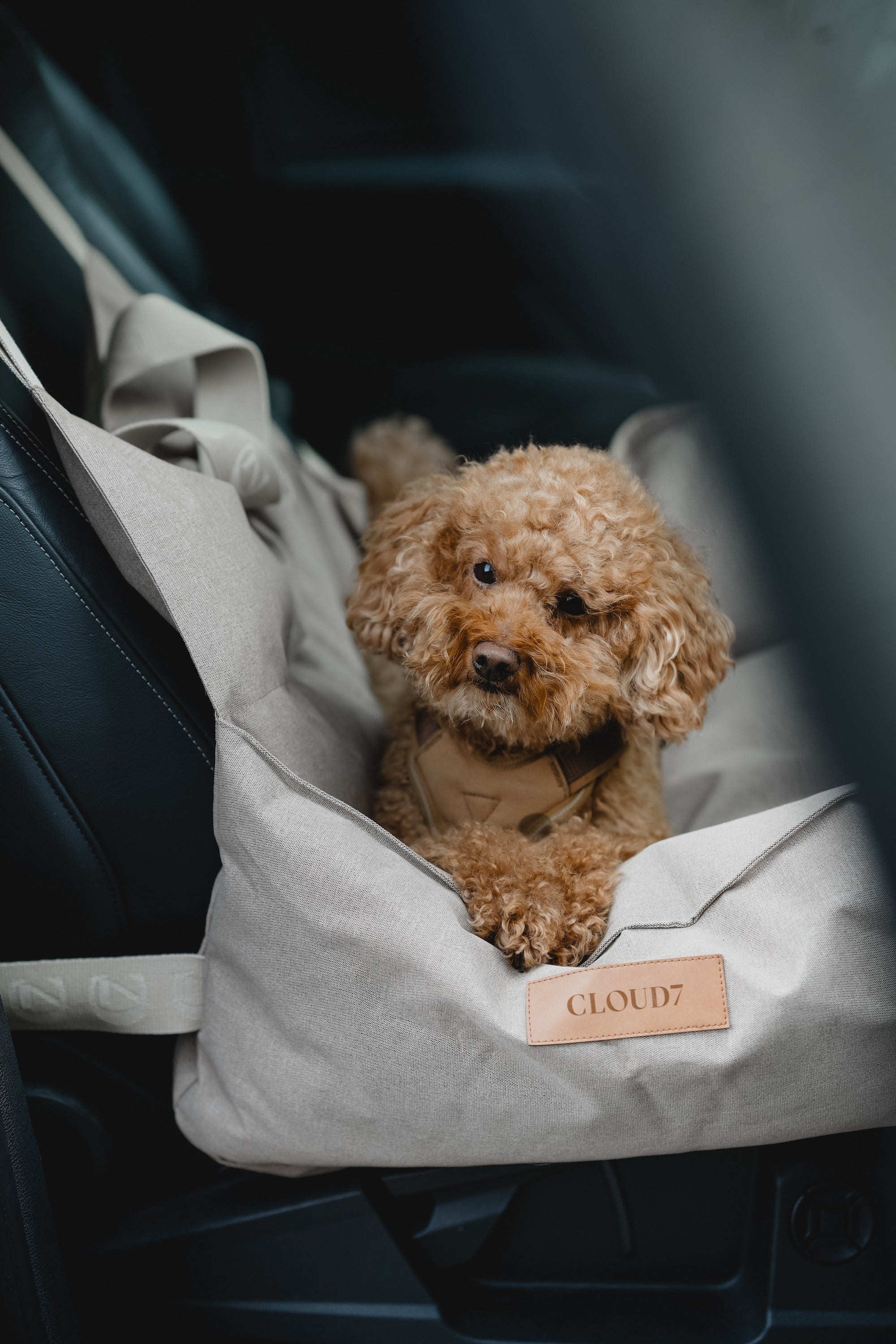 Cloud7 Hundeautositz Getaway Sand Hundereisebett