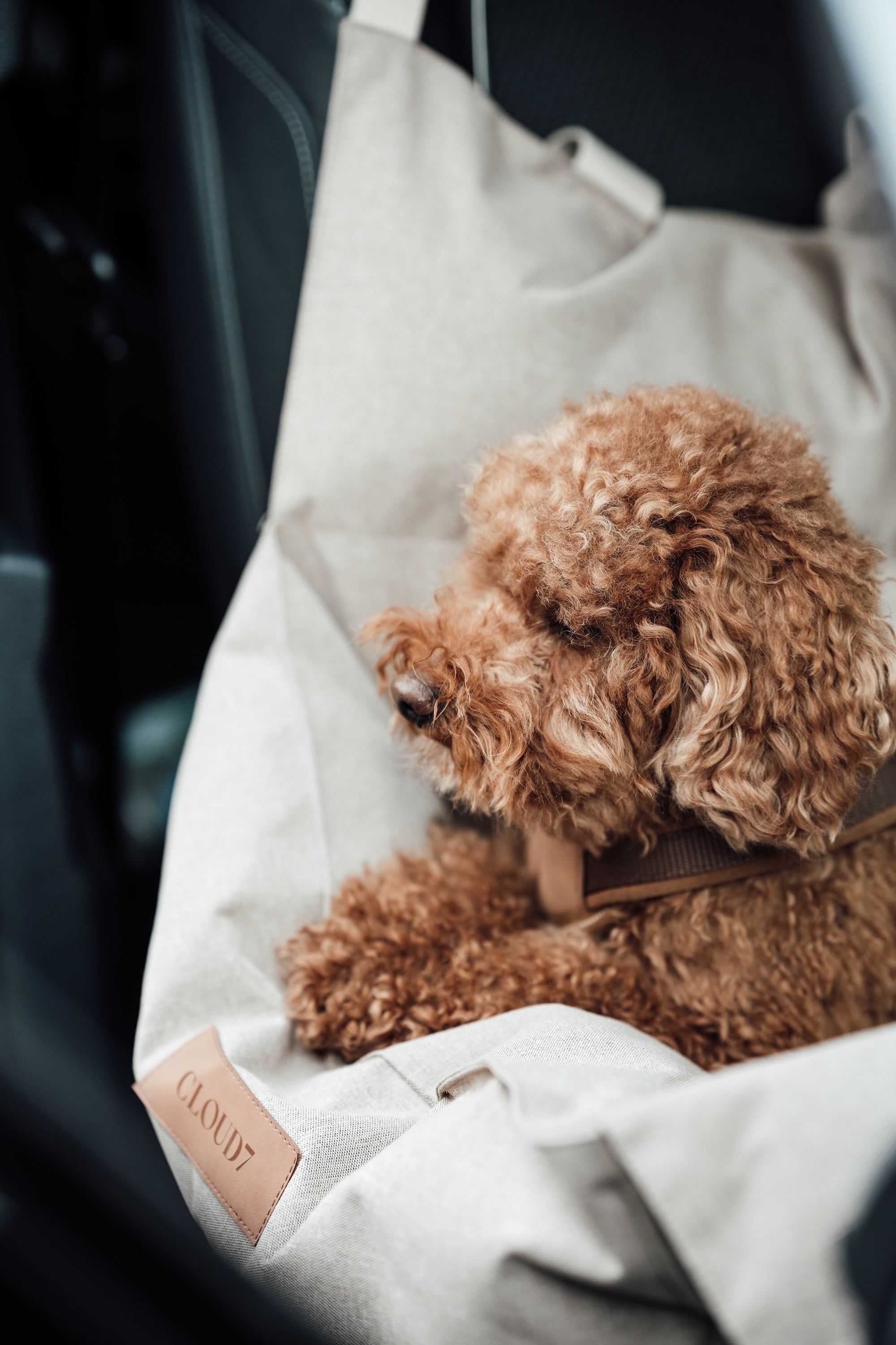 Cloud7 Hundeautositz Getaway Sand tragbar Autositz waschbar Hundeautositz waschbar