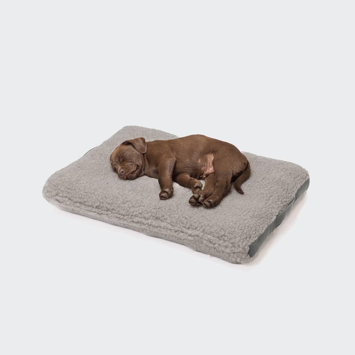 Cloud7 Hundebett Siesta Teddy Hundebett aus Wolle