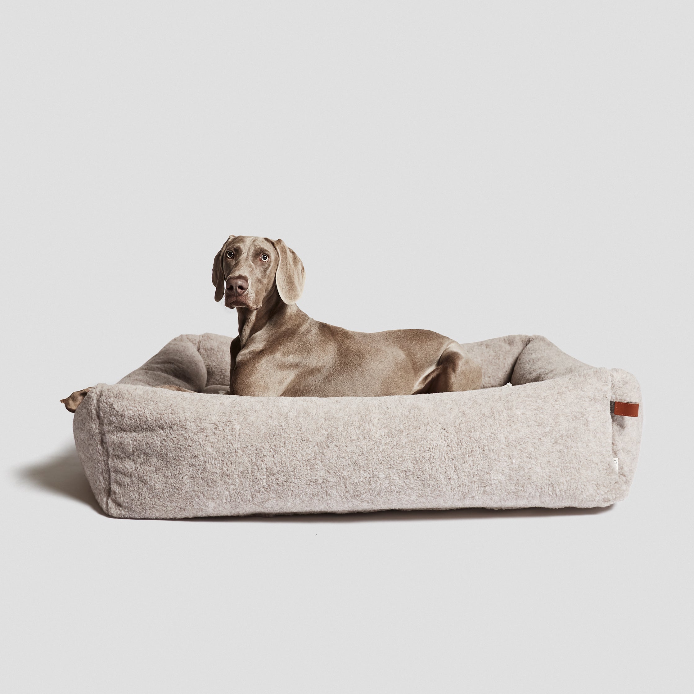 Cloud7 Hundebett Sleepy Deluxe Teddy Hundekörbchen Teddystoff