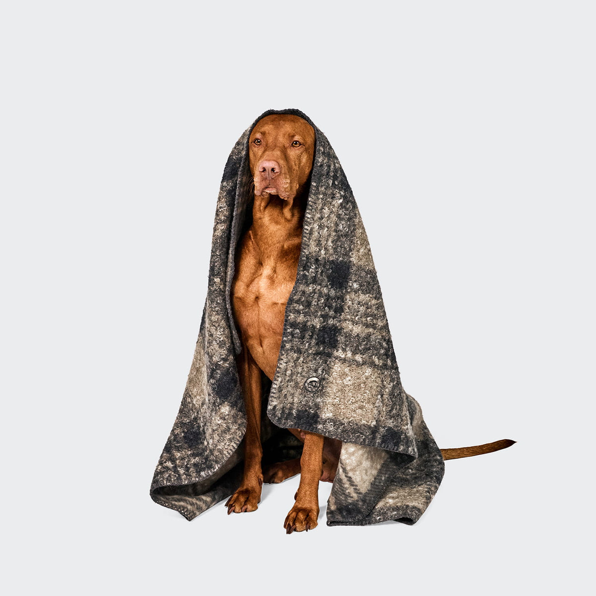 Cloud7 Hundedecke Bouclé Tartan Hundebett