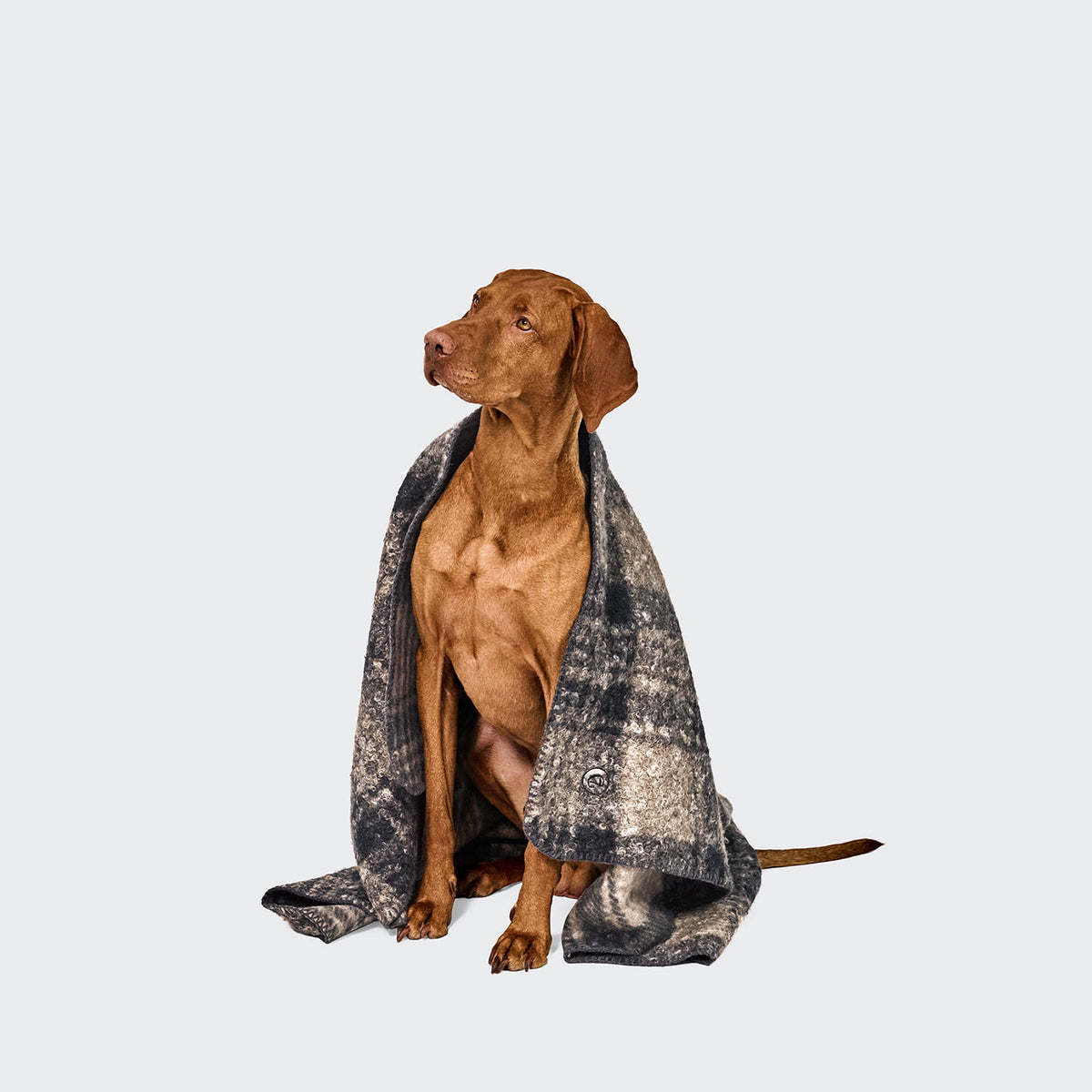 Cloud7 Hundedecke Bouclé Tartan Teddydecke