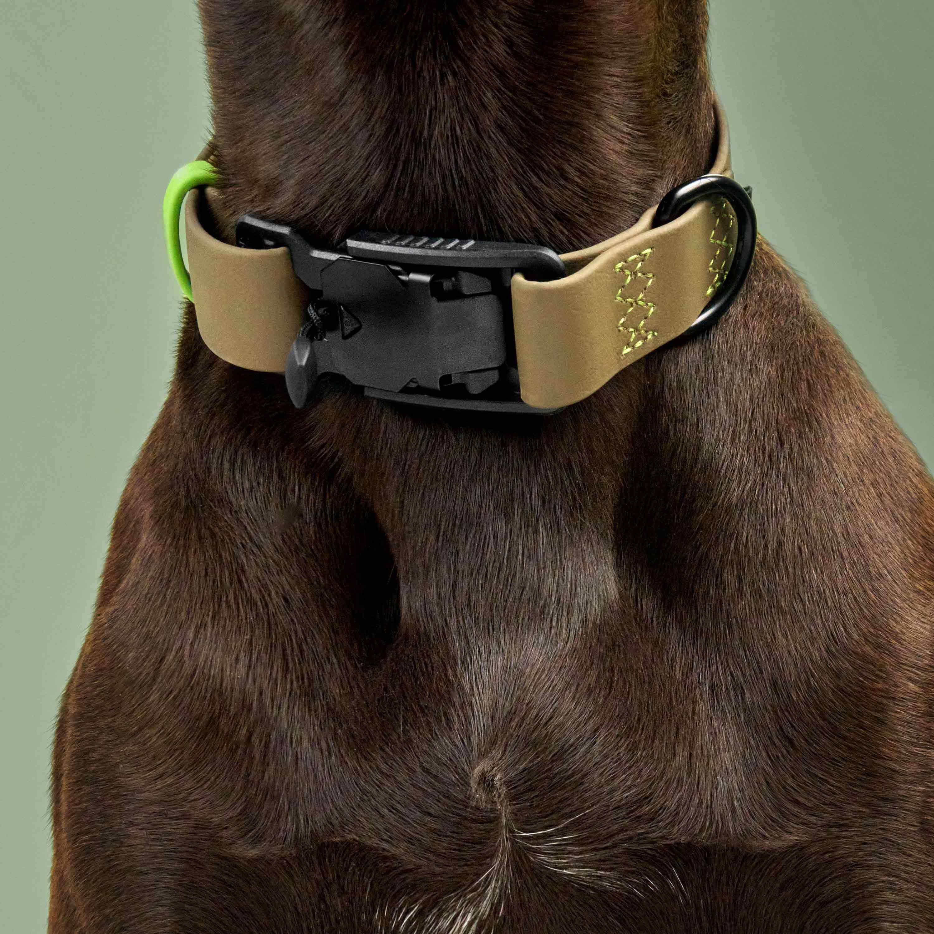 Cloud7 Hundehalsband BioThane Ipanema Olive Neongruen wasserfestes Biothane Hundehalsband