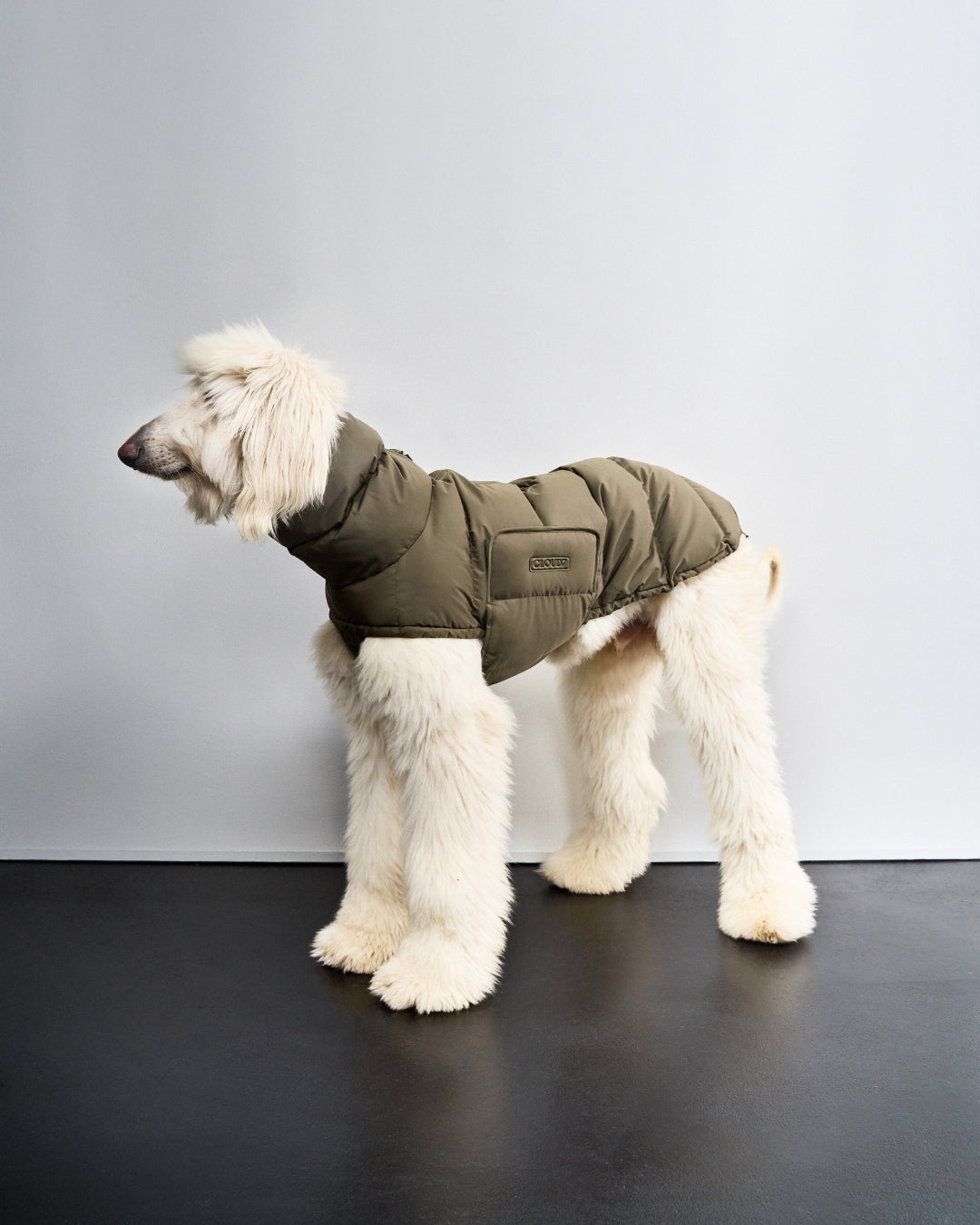 Cloud7 Hundemantel Alaska Light Olive Wintermantel für Hunde Winterjacke für Hunde