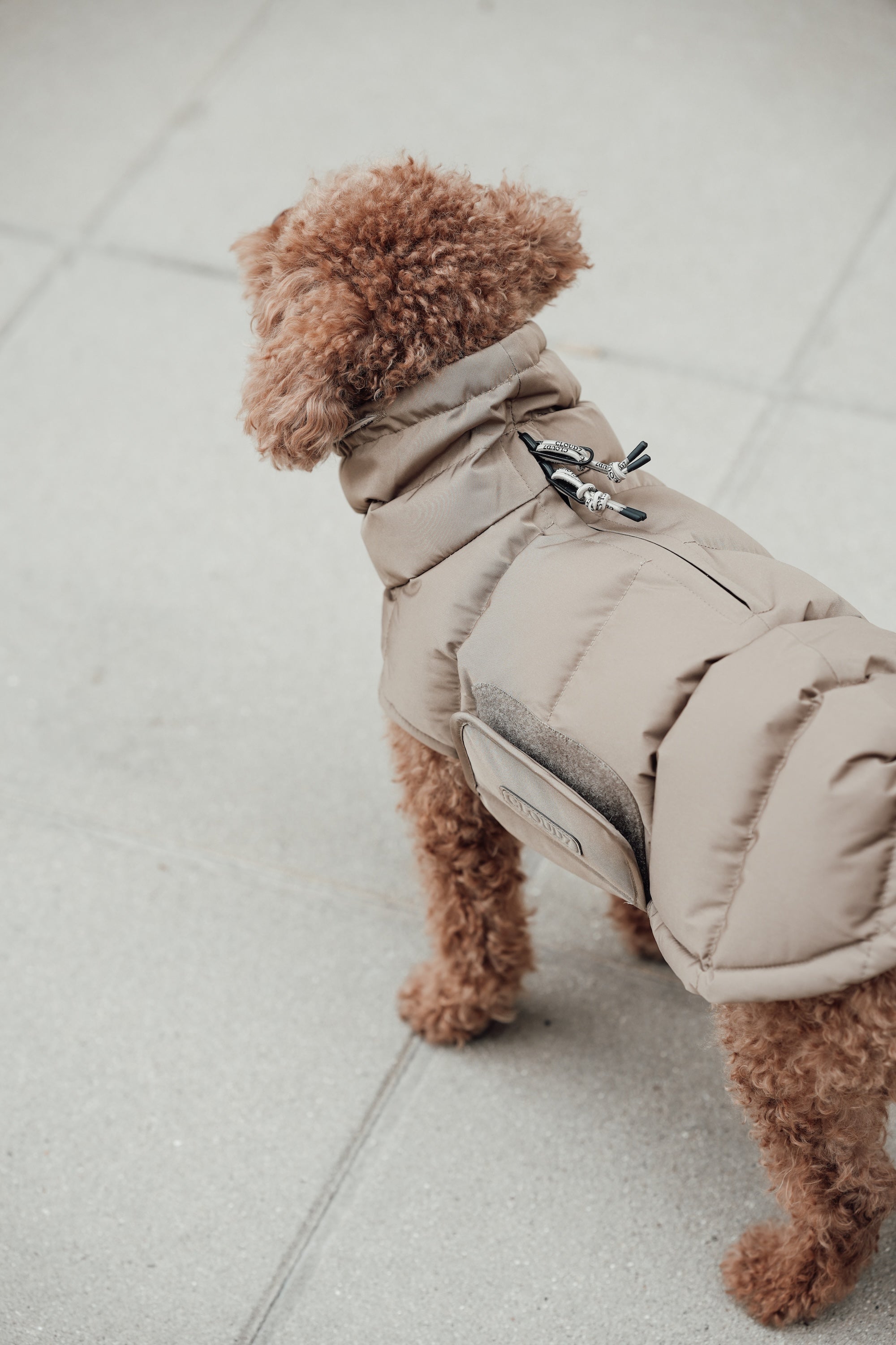 Cloud7 Hundemantel Alaska Sandy Brown Hundemantel Dackelmantel