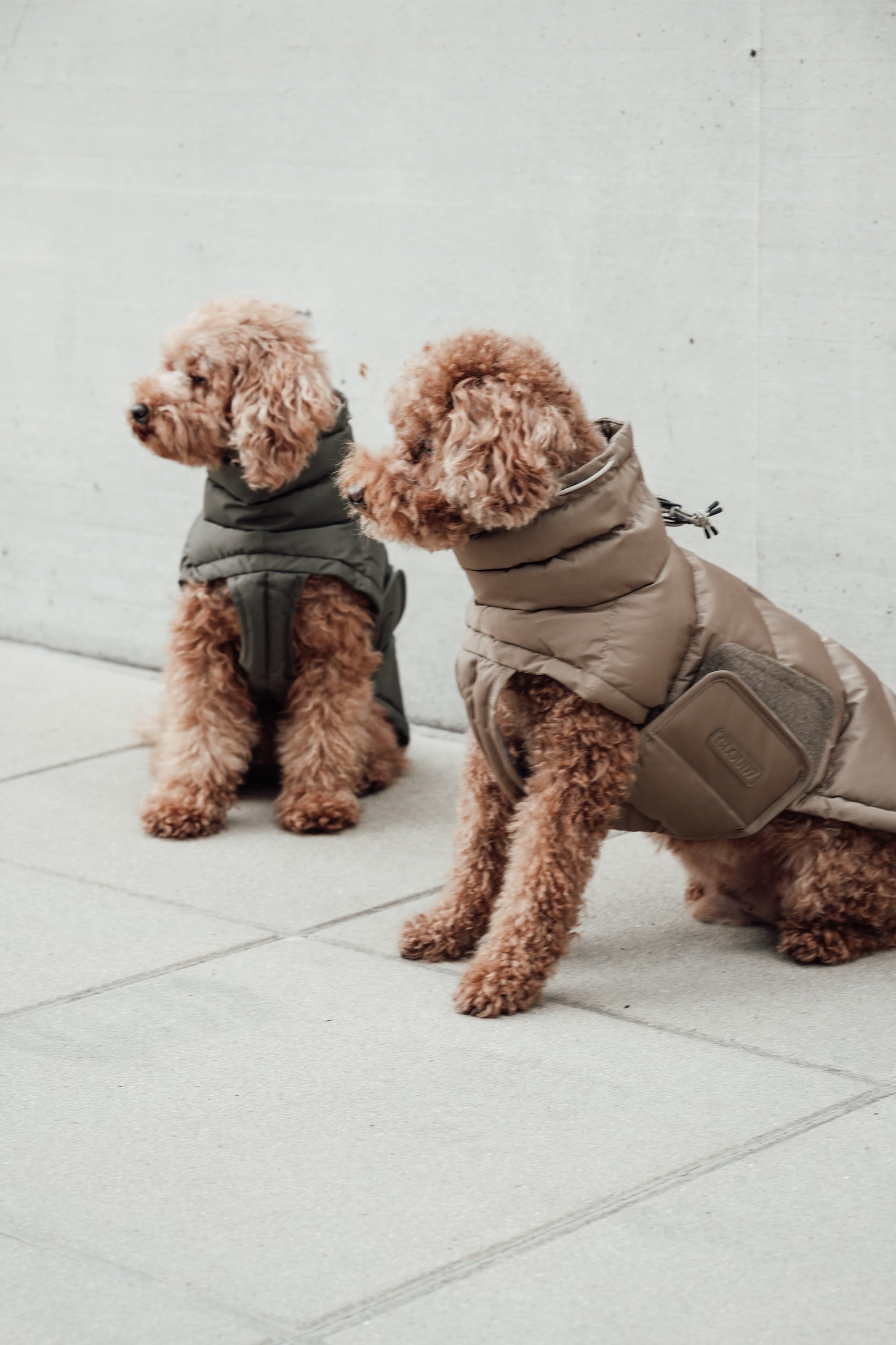 Cloud7 Hundemantel Alaska Sandy Brown Hundemantel Hundewintermantel nachhaltig