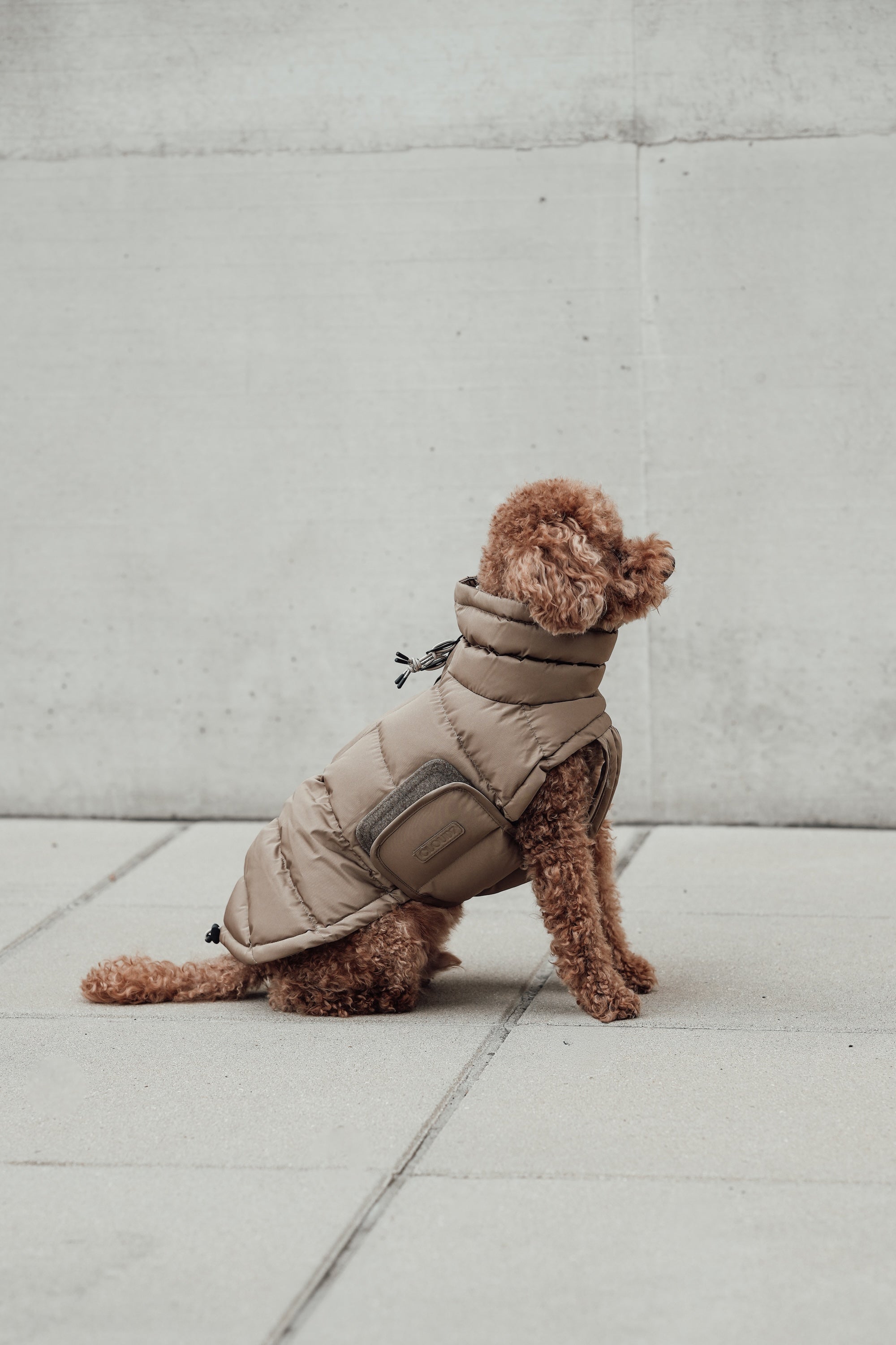 Cloud7 Hundemantel Alaska Sandy Brown Hundemantel Wintermantel Dackel wasserabweisend