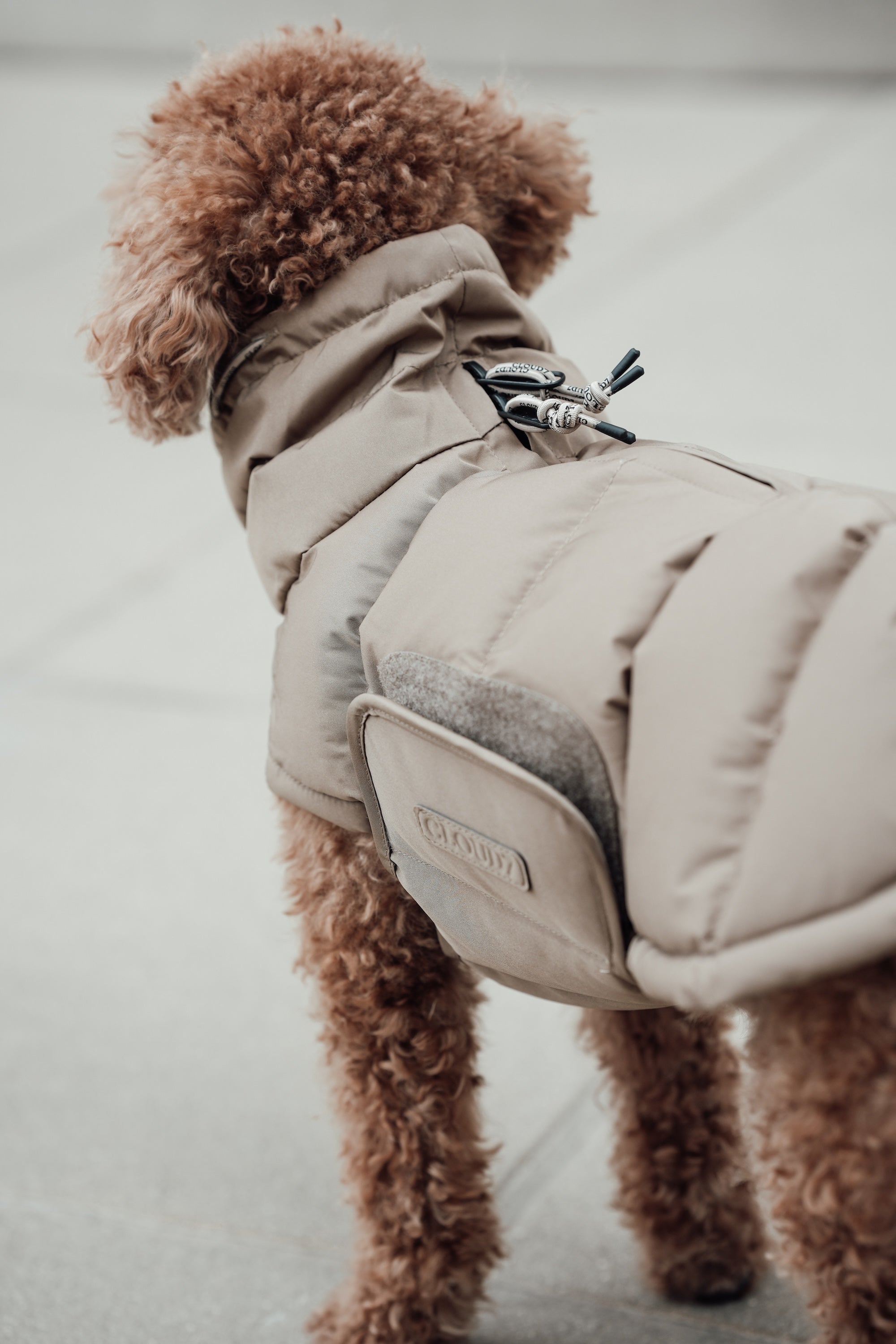 Cloud7 Hundemantel Alaska Sandy Brown Hundemantel Wintermantel für Dackel