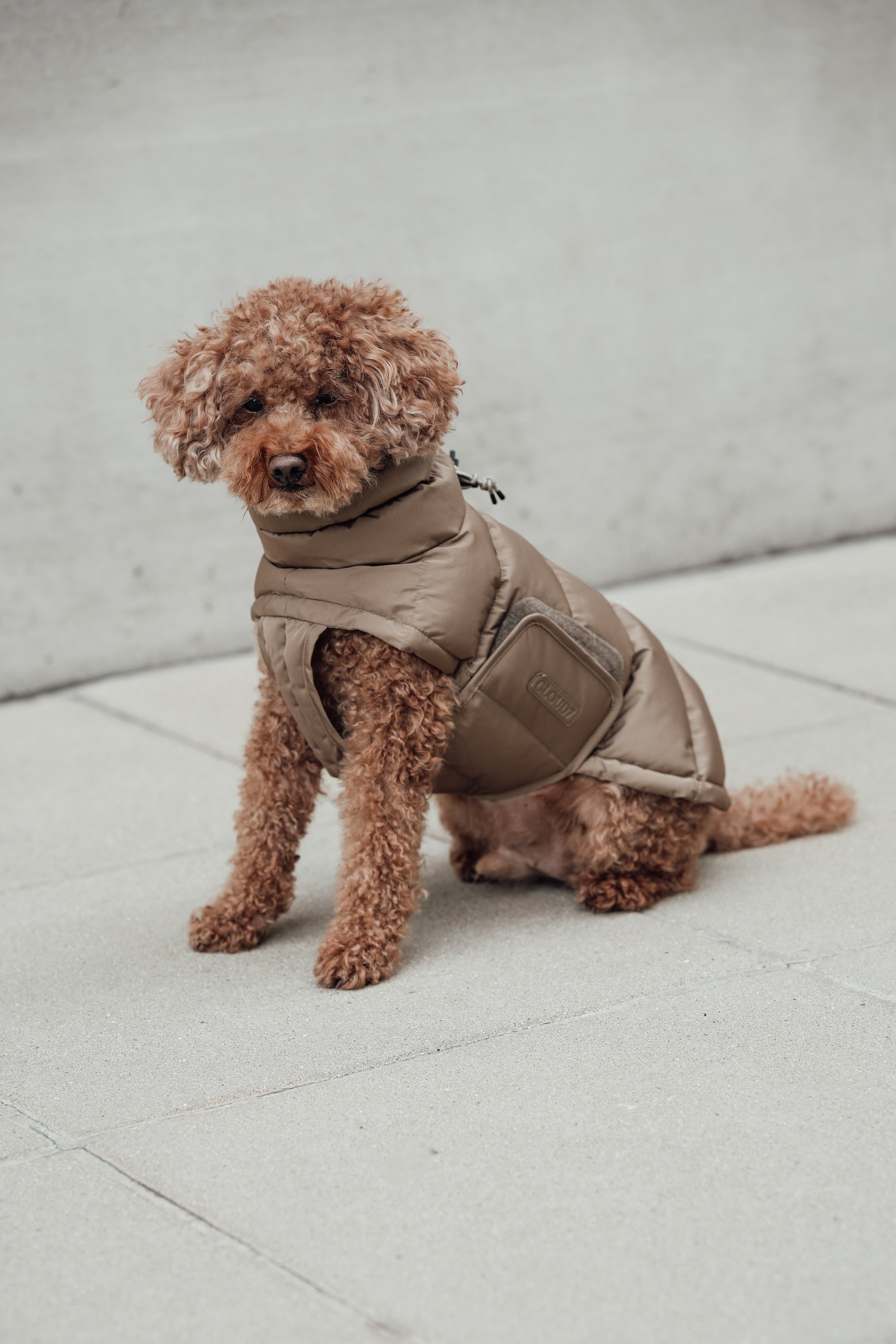 Cloud7 Hundemantel Alaska Sandy Brown Hundemantel Wintermantel für Hunde für Dackel