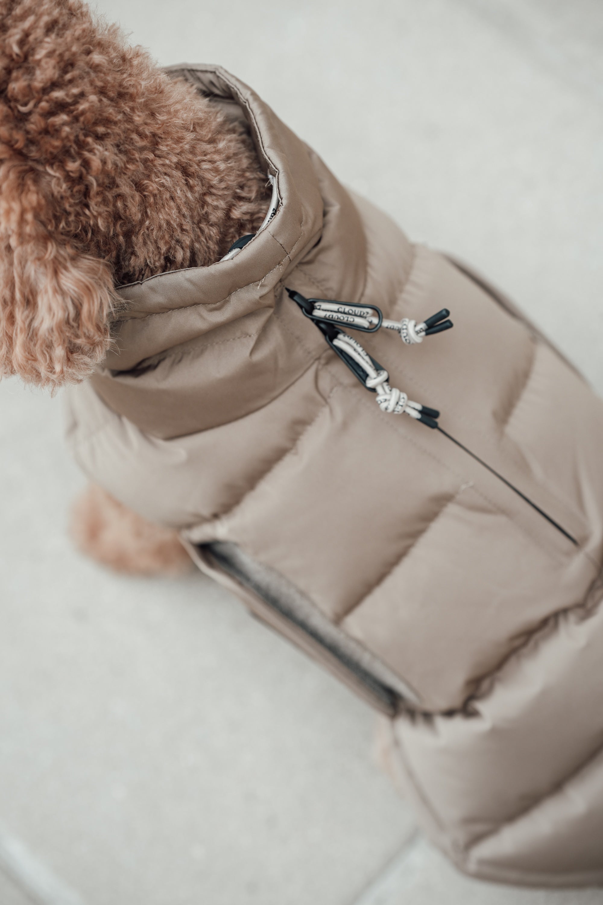 Cloud7 Hundemantel Alaska Sandy Brown Hundemantel Wintermantel für kleine Hunde