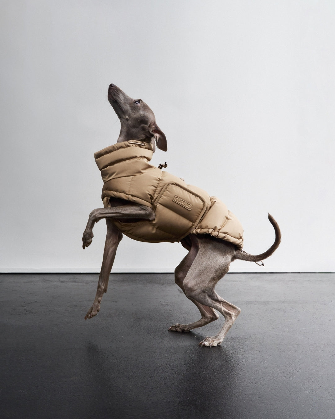 Cloud7 Hundemantel Alaska Sandy Brown Hundewintermantel Hundemantel wasserdicht