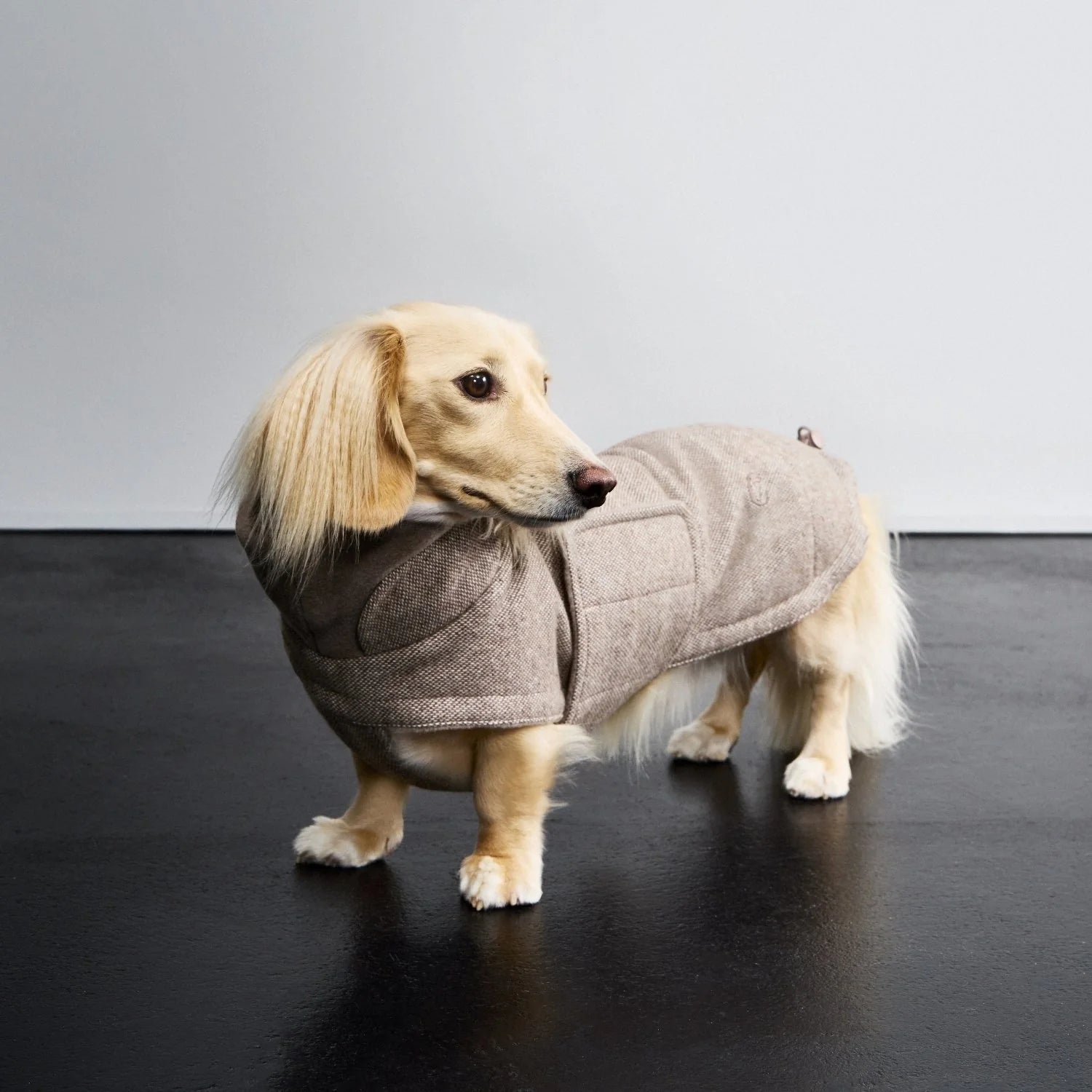 Cloud7 Hundemantel Brooklyn DACKEL Tweed Beige Hundemantel Winter