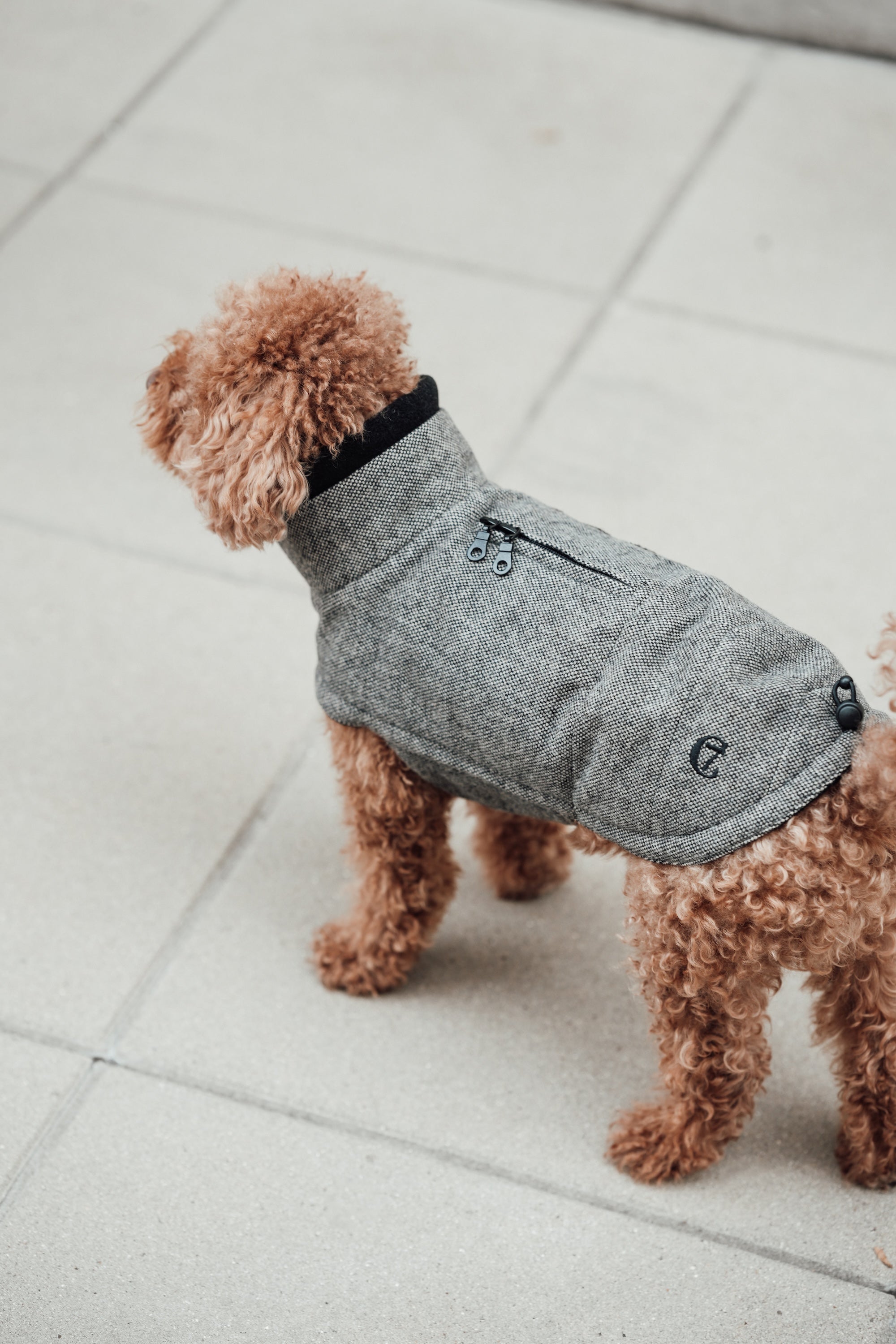 Cloud7 Hundemantel Brooklyn Tweed Black LEVEY Hundemantel wasserdicht