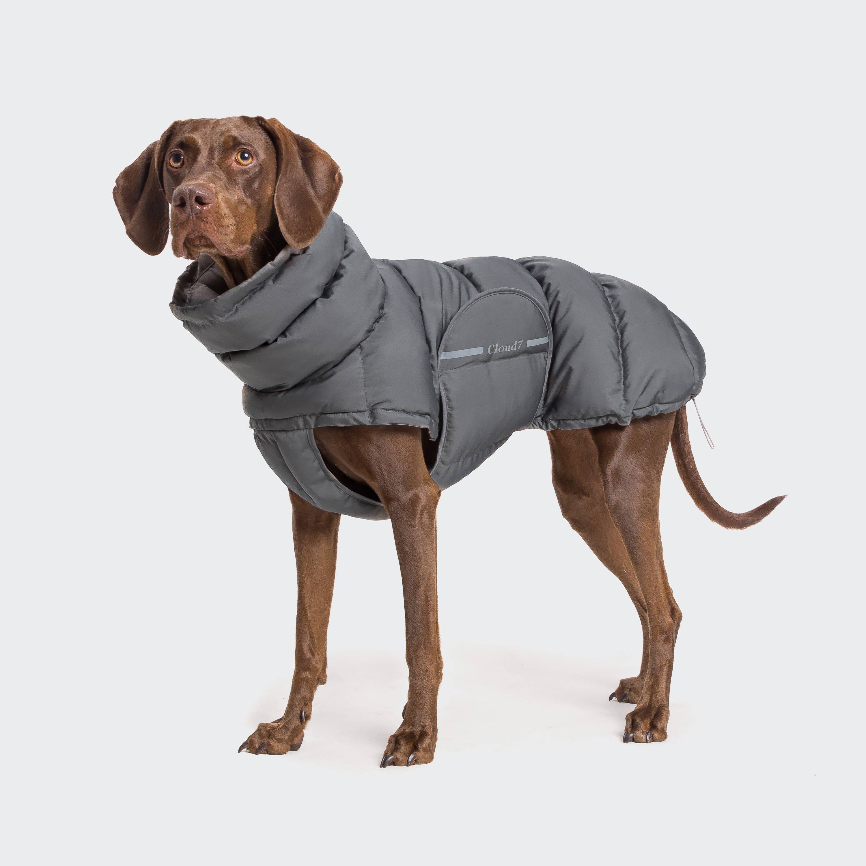 Cloud7 Hundemantel Alaska Anthra grauer Hundemantel