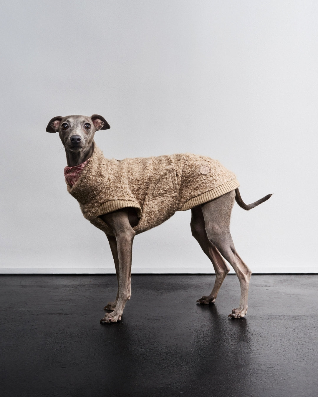 Cloud7 Hundepullover Gotland Sandy Brown Mantel für Hunde