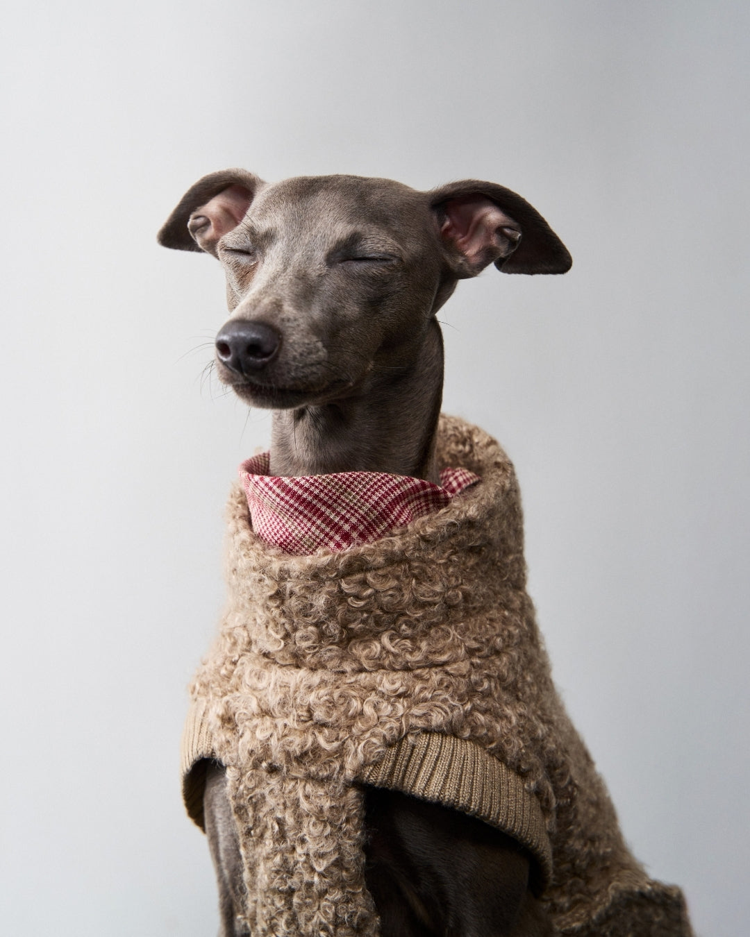 Cloud7 Hundepullover Gotland Sandy Brown Wintermantel Hund